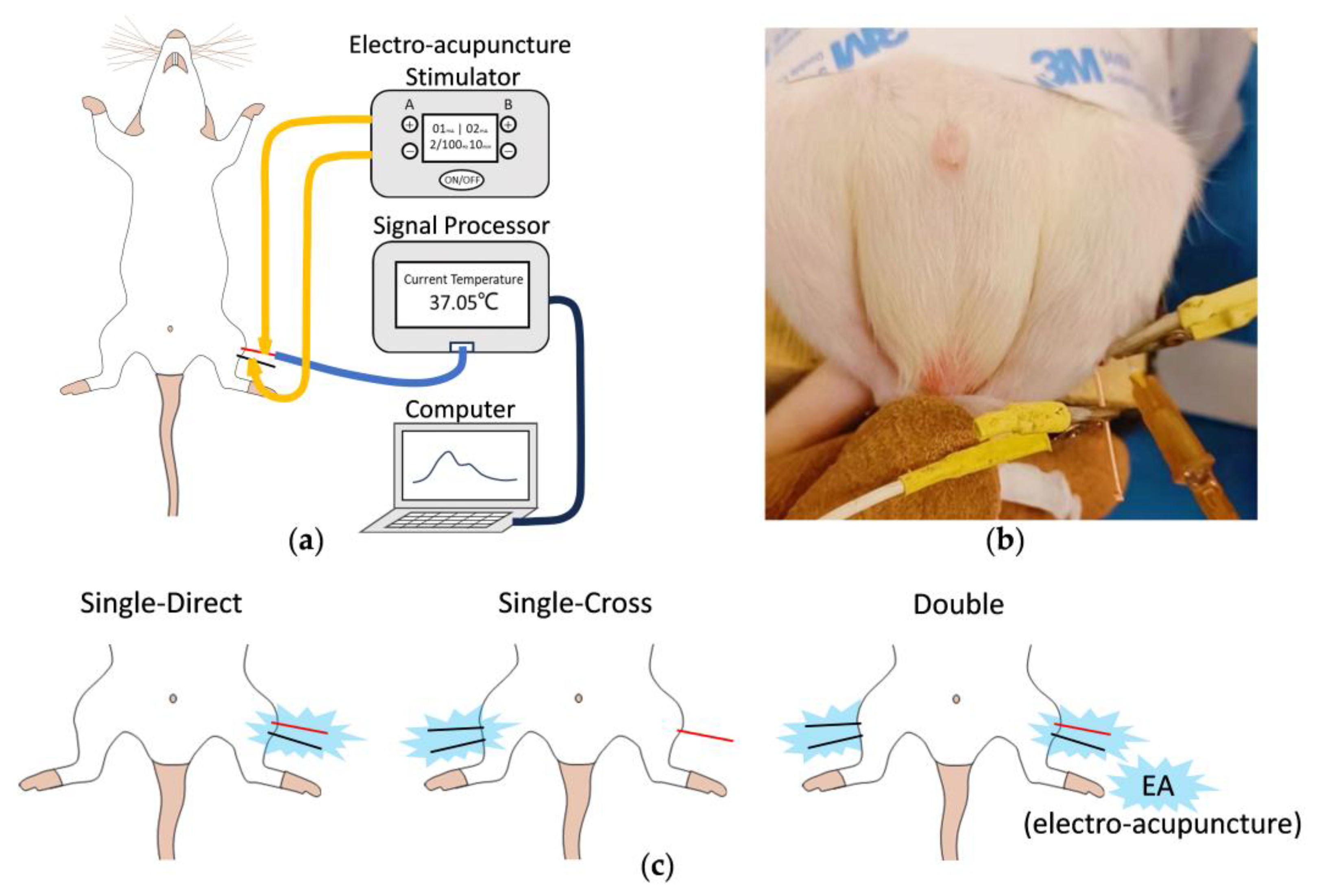 Micromachines 15 00924 g009