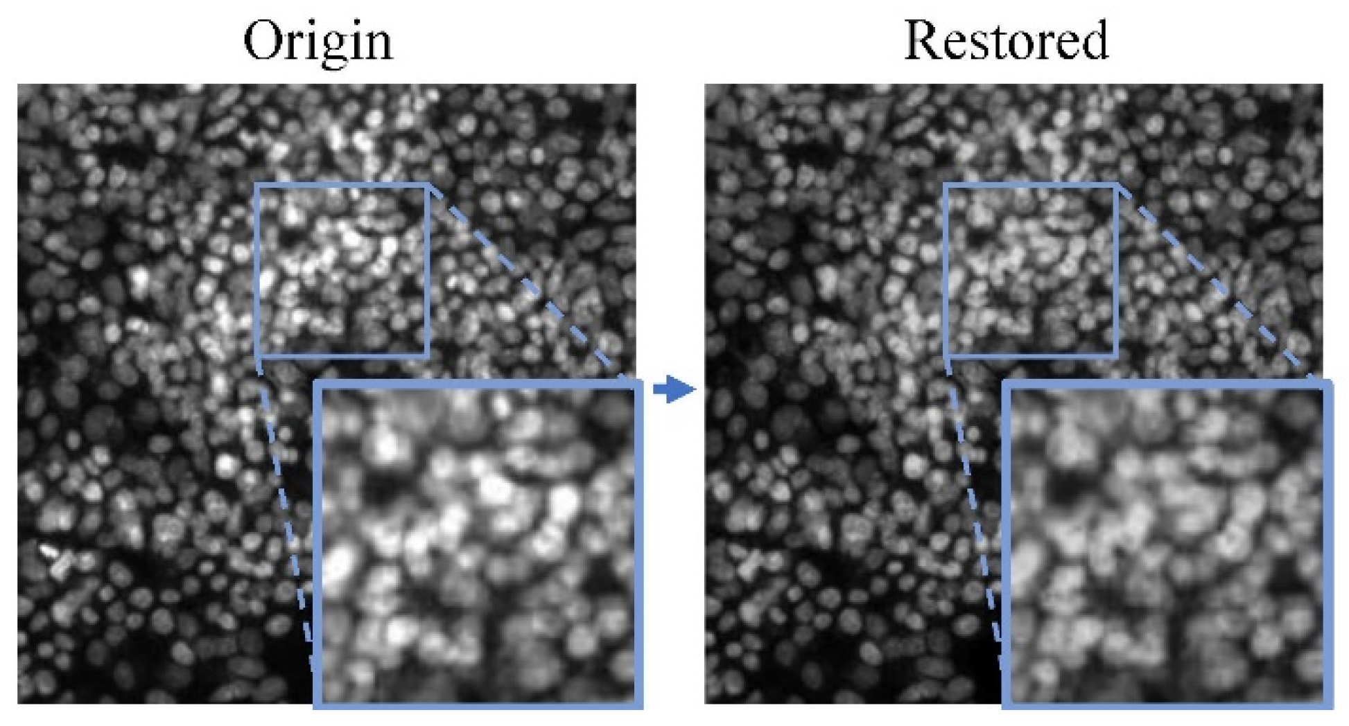 Micromachines 15 00928 g005