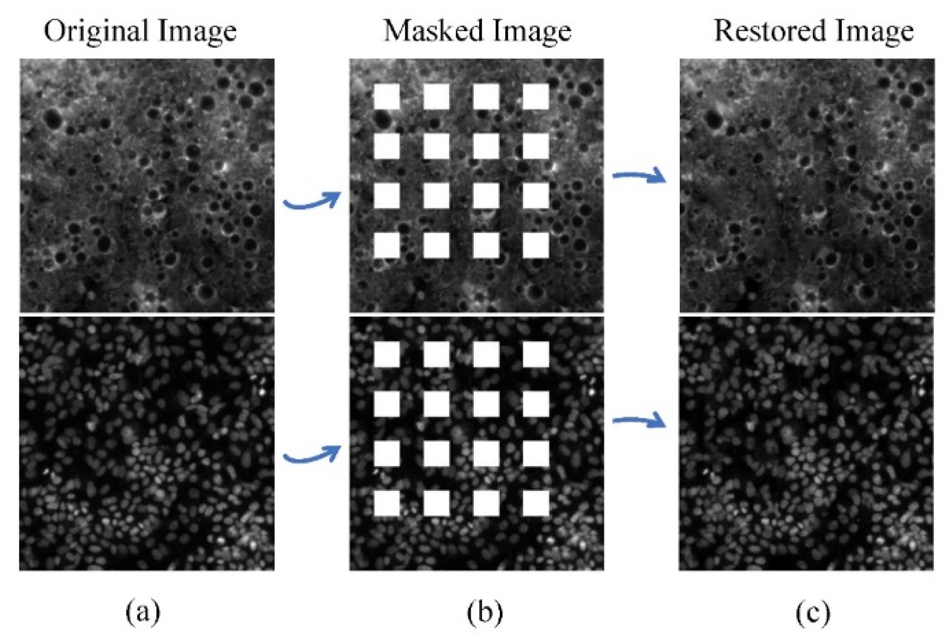 Micromachines 15 00928 g006