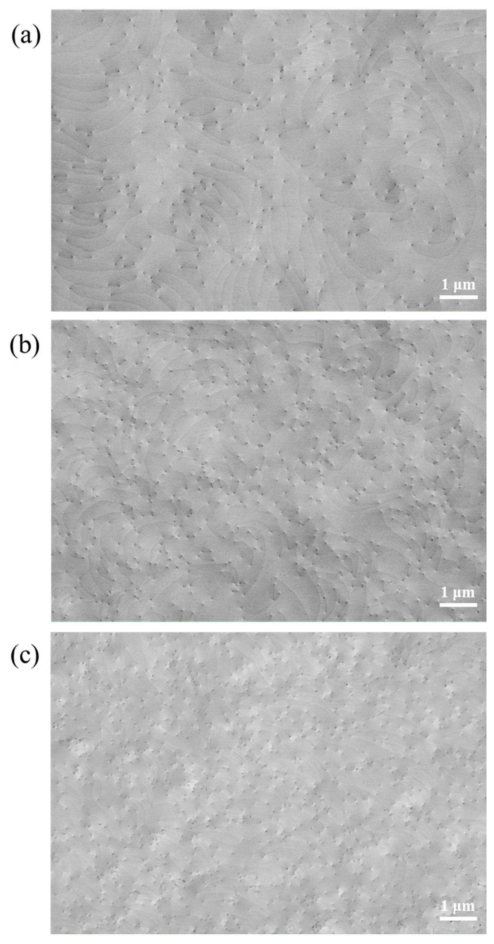 Micromachines 15 00954 g003