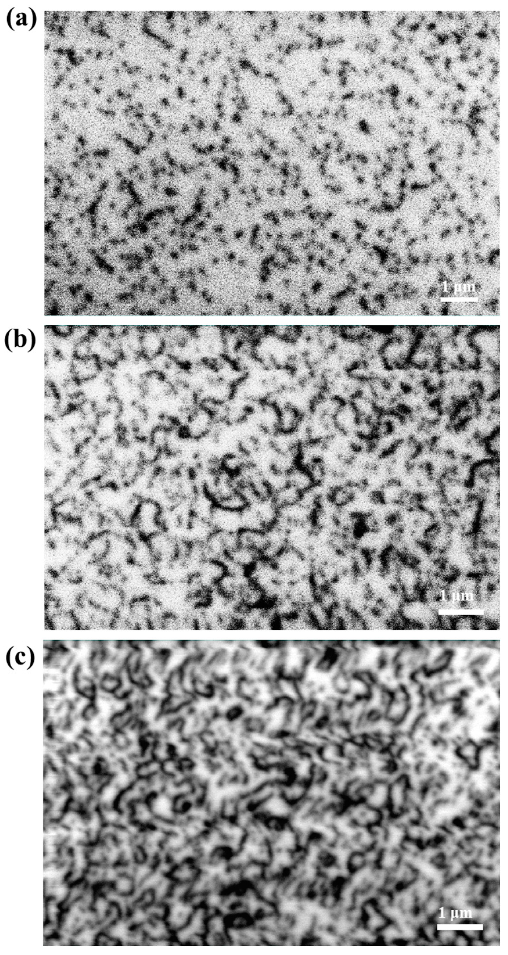 Micromachines 15 00954 g004