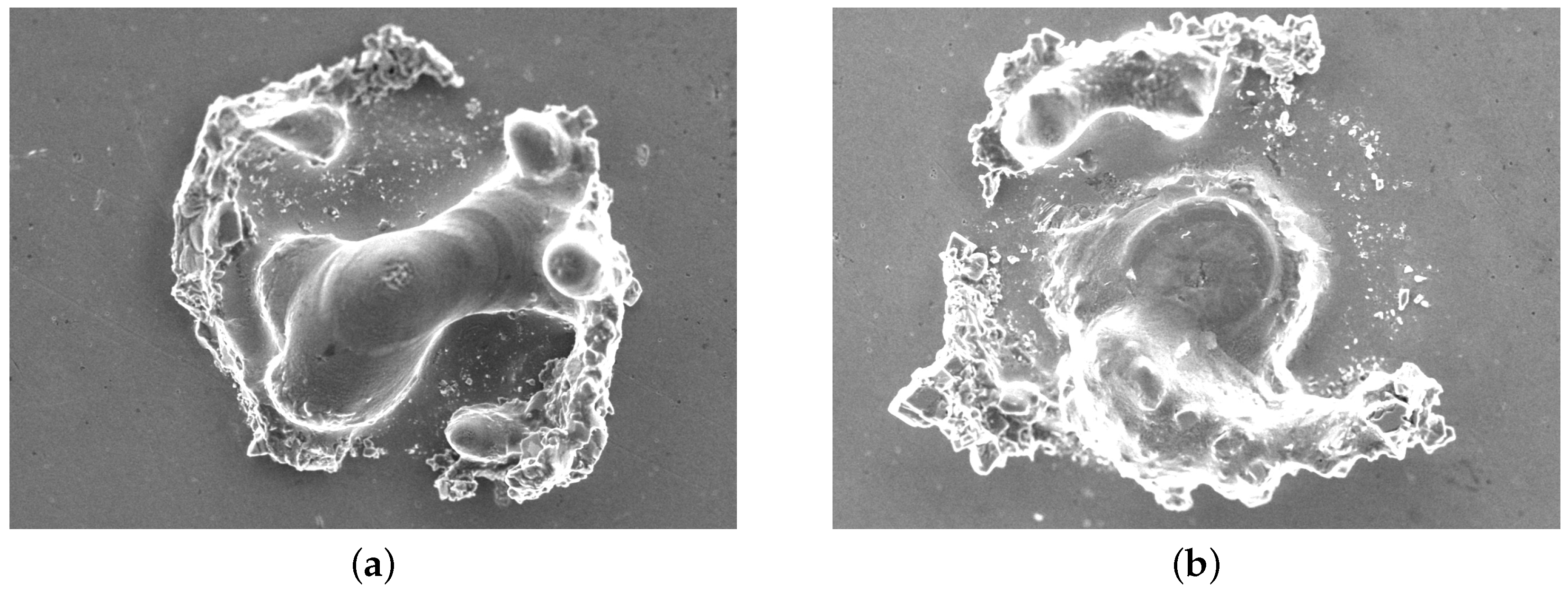 Micromachines 15 00958 g006