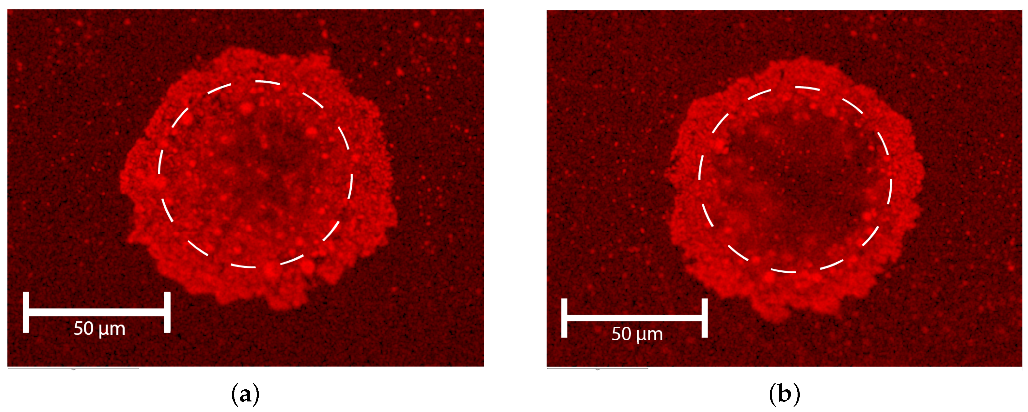 Micromachines 15 00958 g011