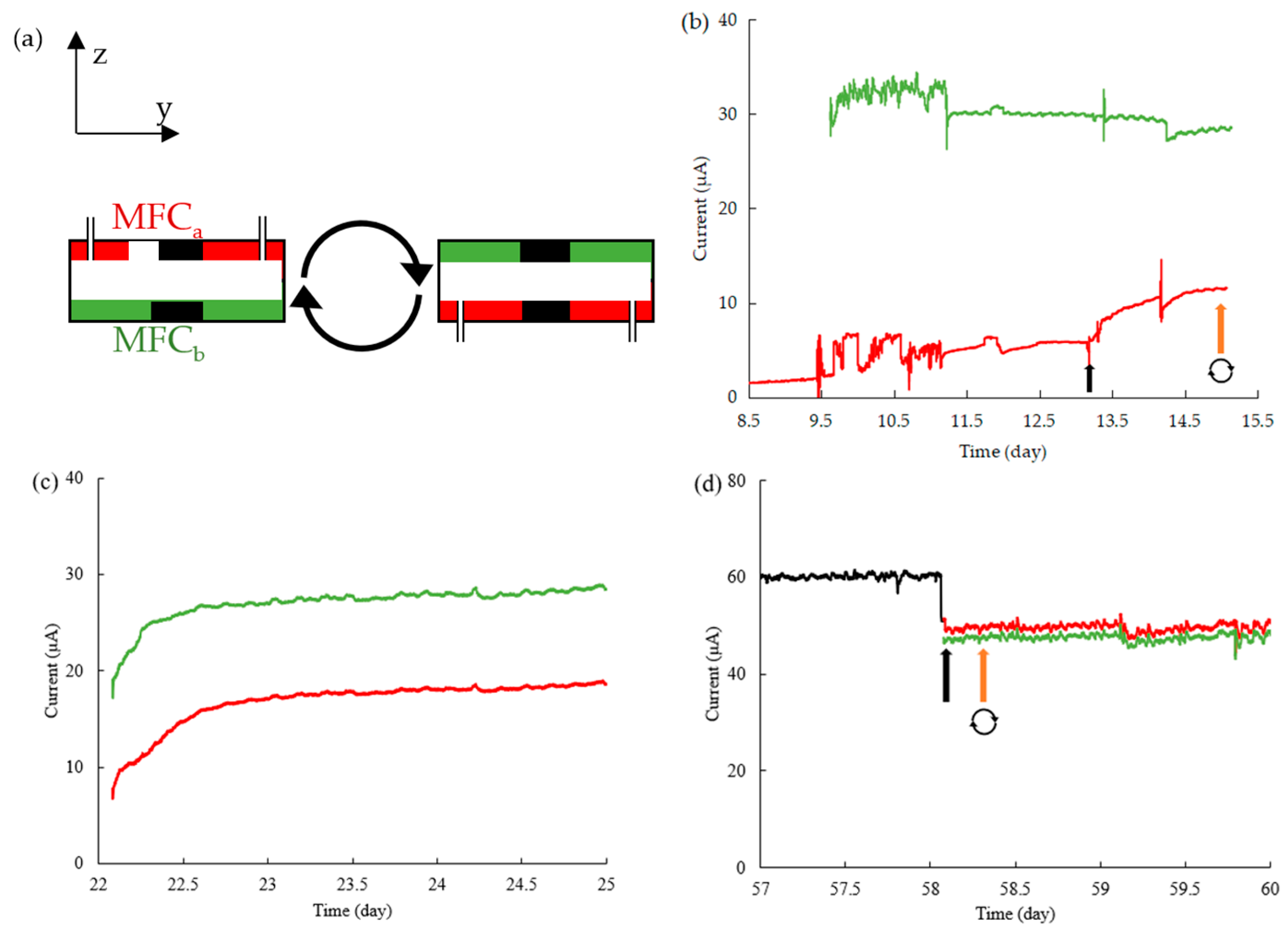 Micromachines 15 00961 g003 Micromachines 15 00961 g003