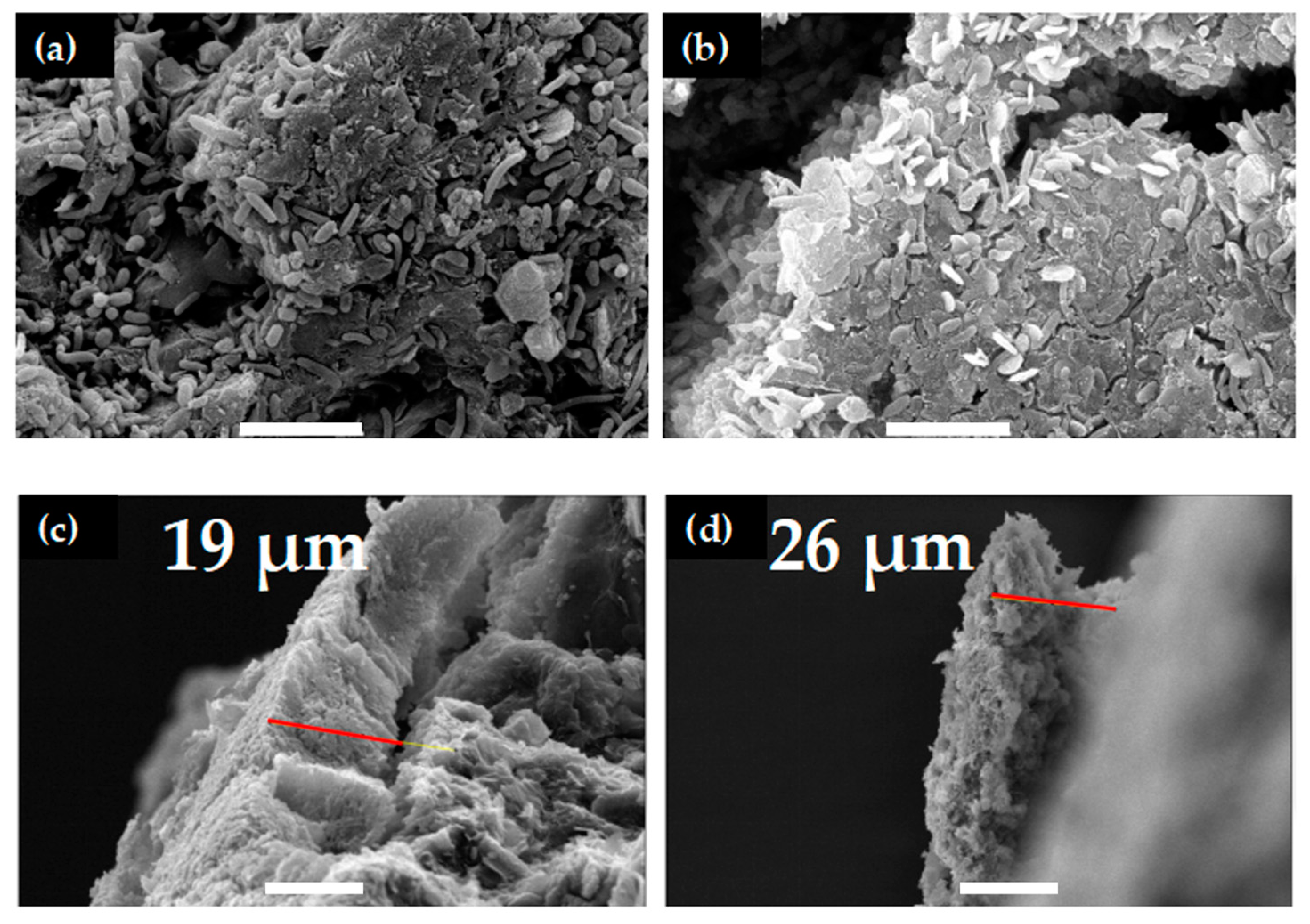 Micromachines 15 00961 g007 Micromachines 15 00961 g007