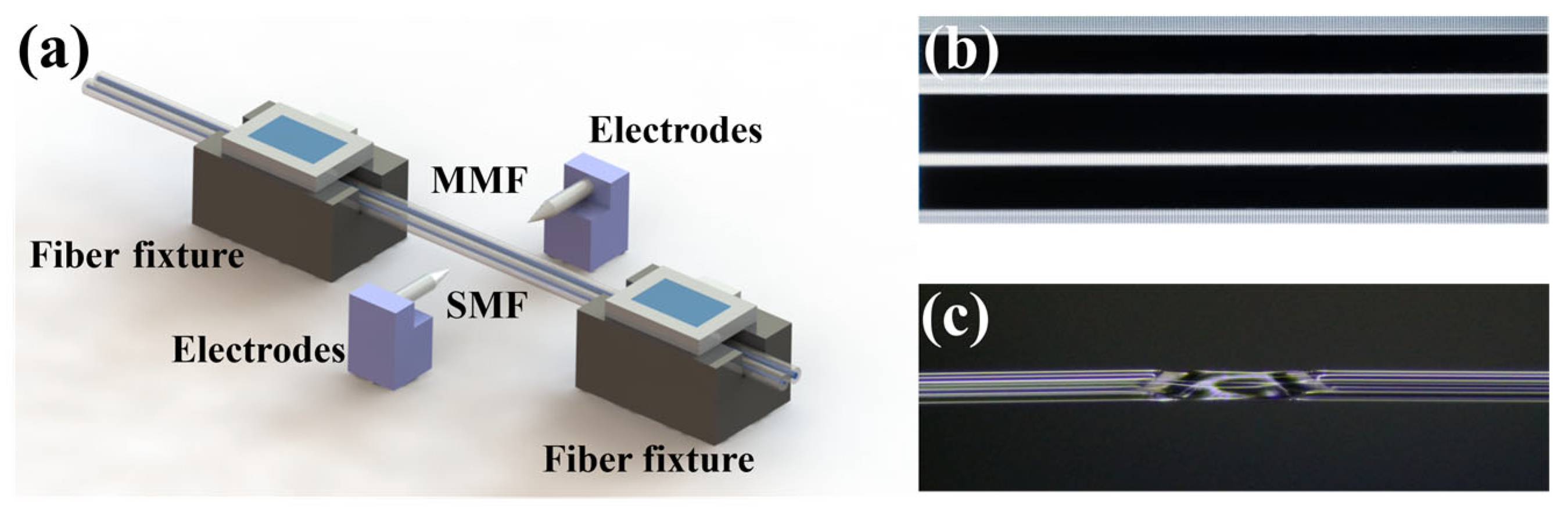 Micromachines 15 00963 g002
