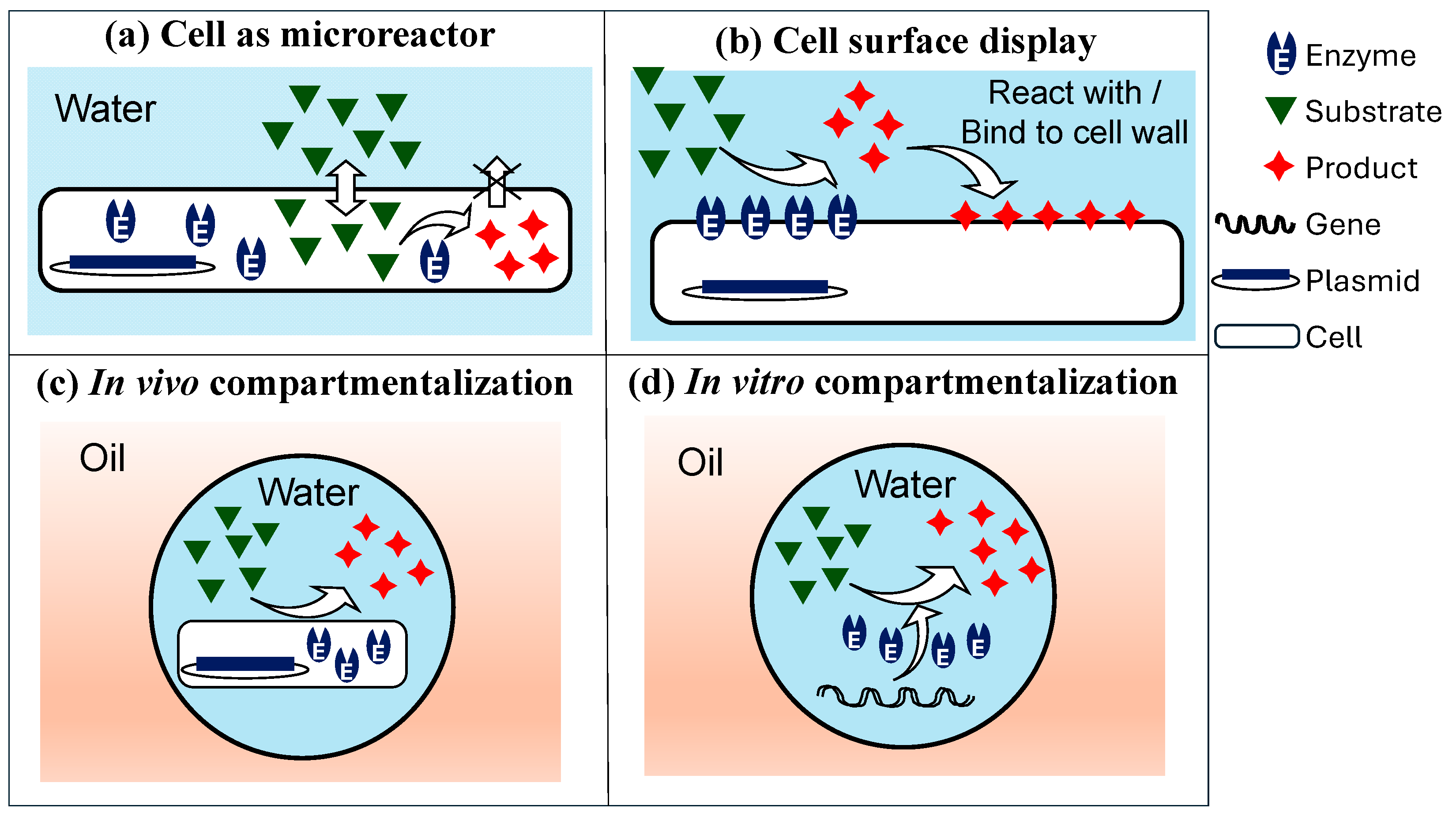 Micromachines 15 00971 g001 Micromachines 15 00971 g001