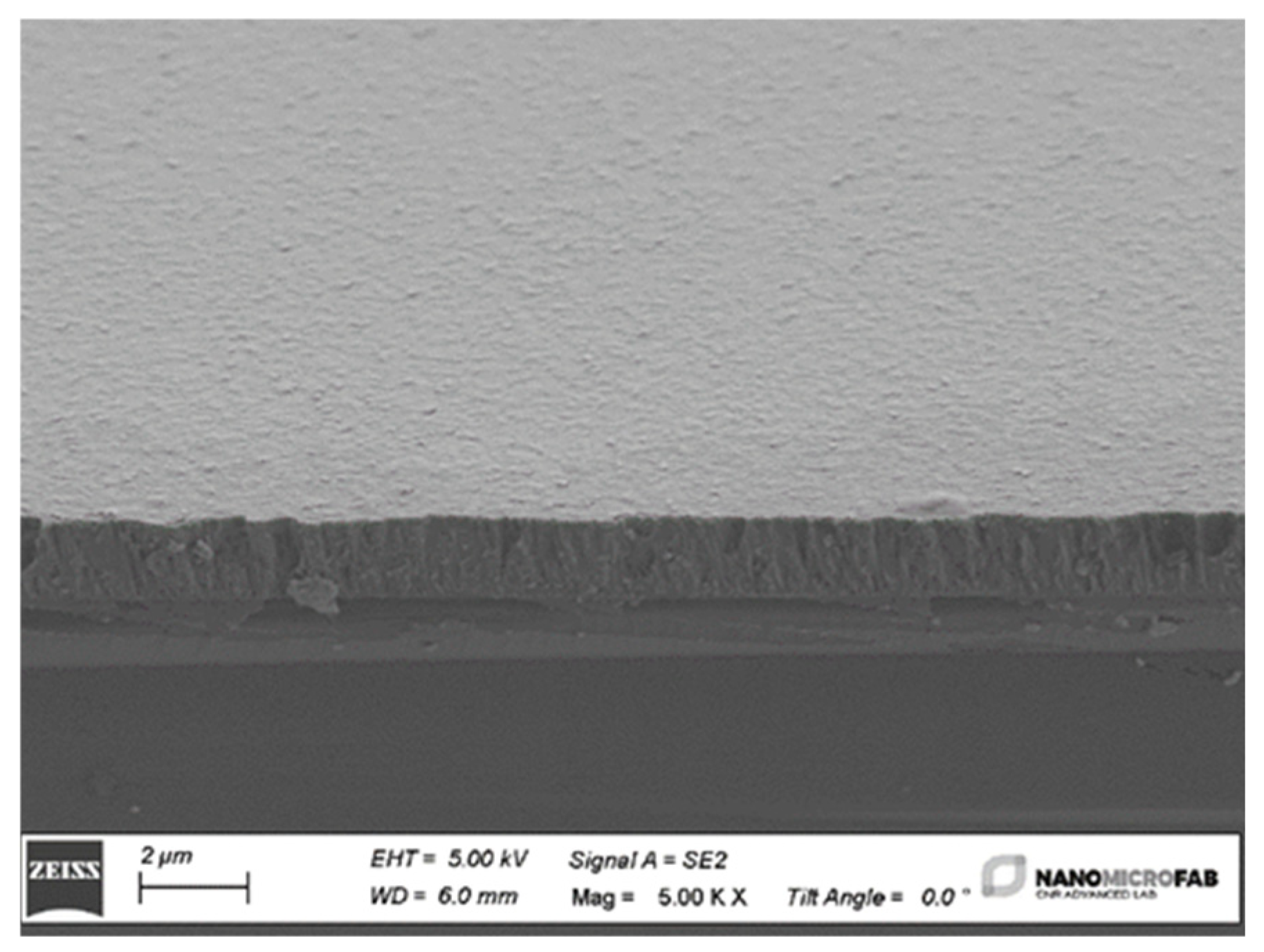 Micromachines 15 00974 g005