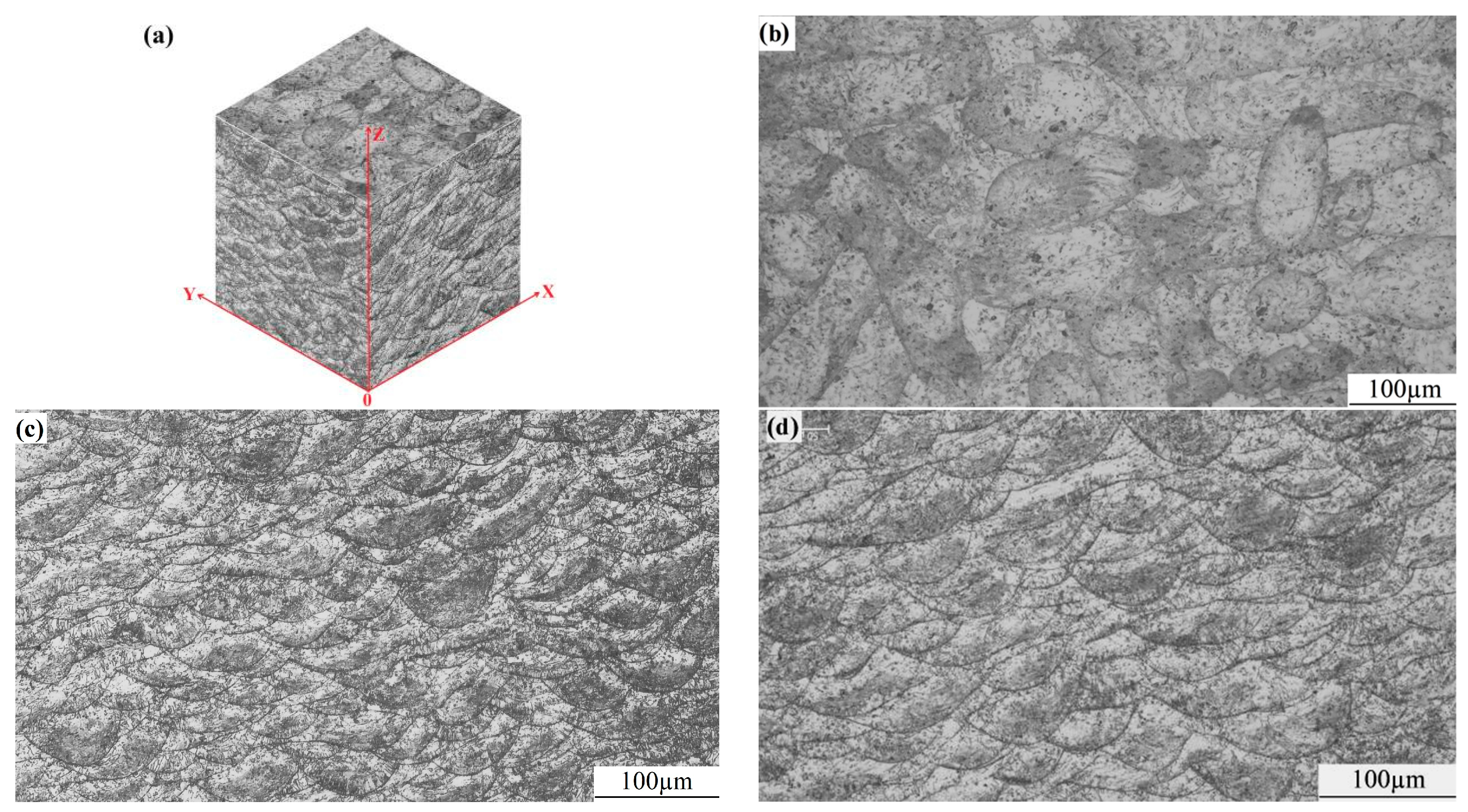 Micromachines 15 00976 g007