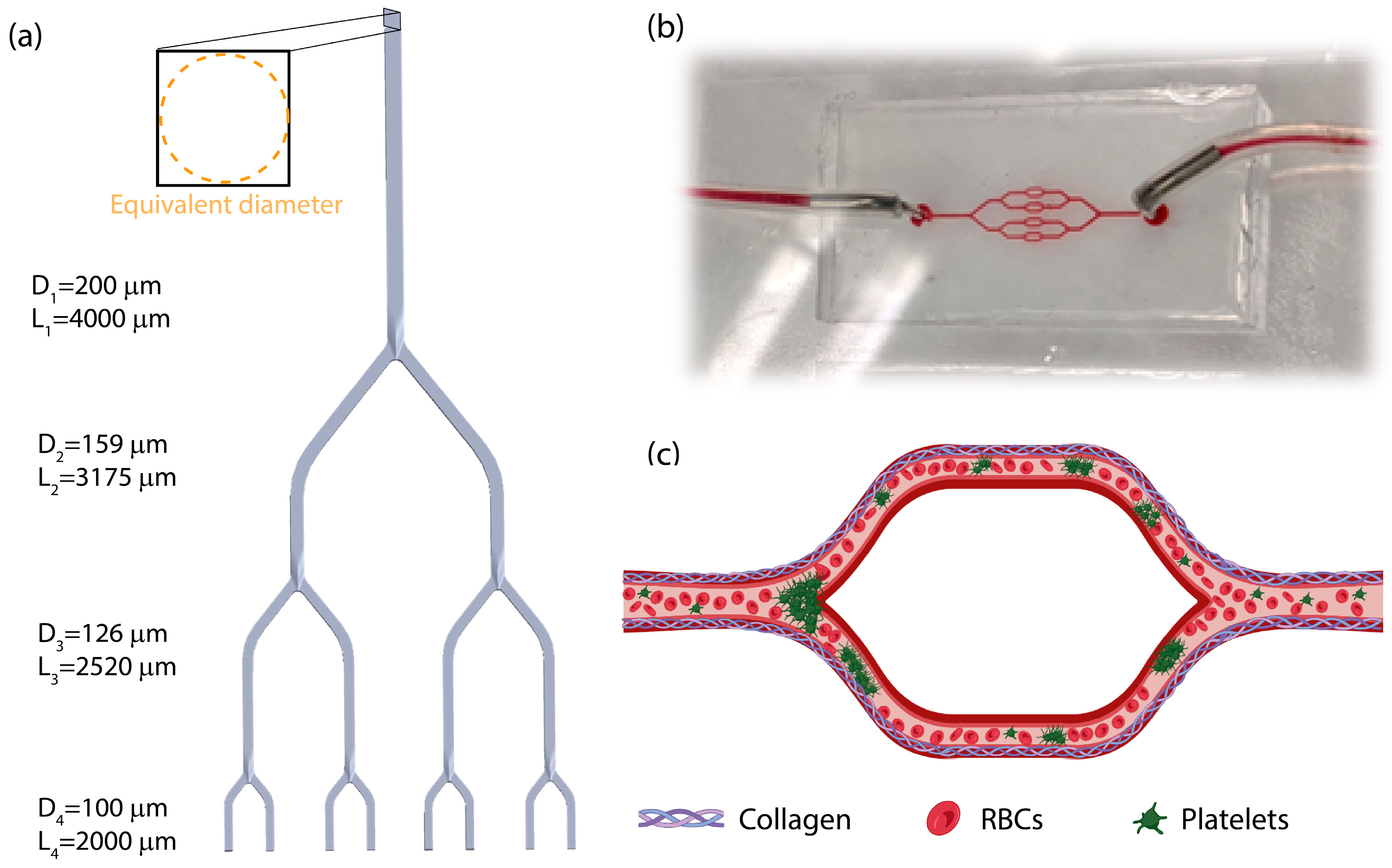 Micromachines 15 00988 g001
