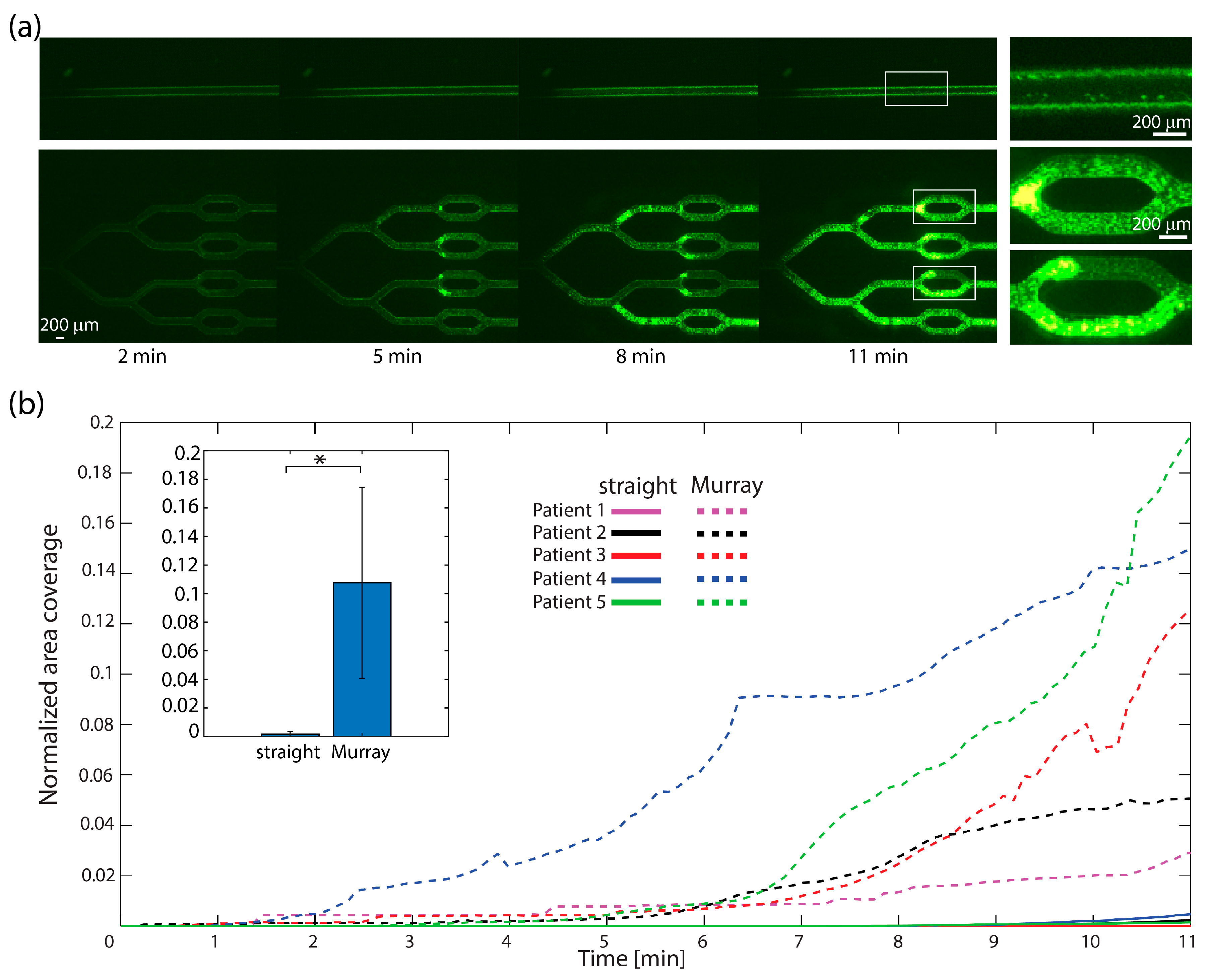 Micromachines 15 00988 g003
