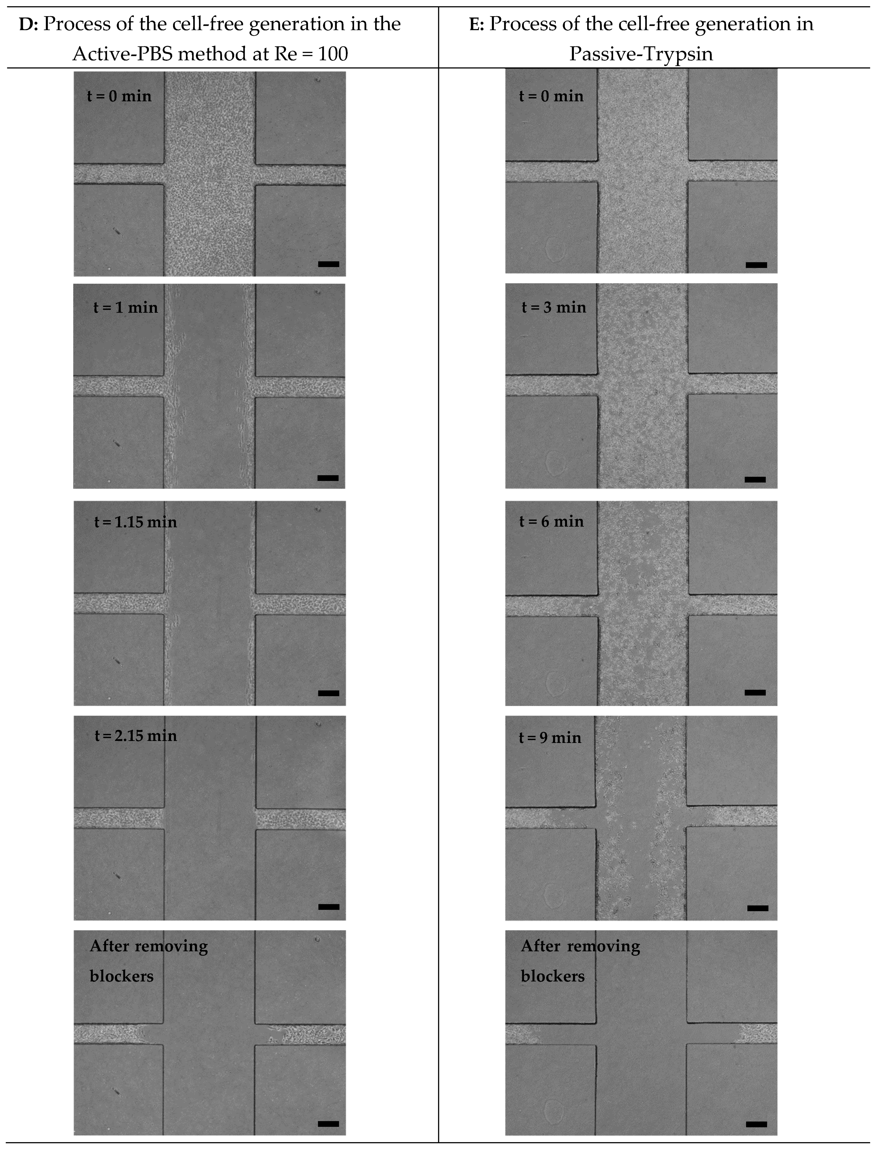 Micromachines 15 01004 g003b
