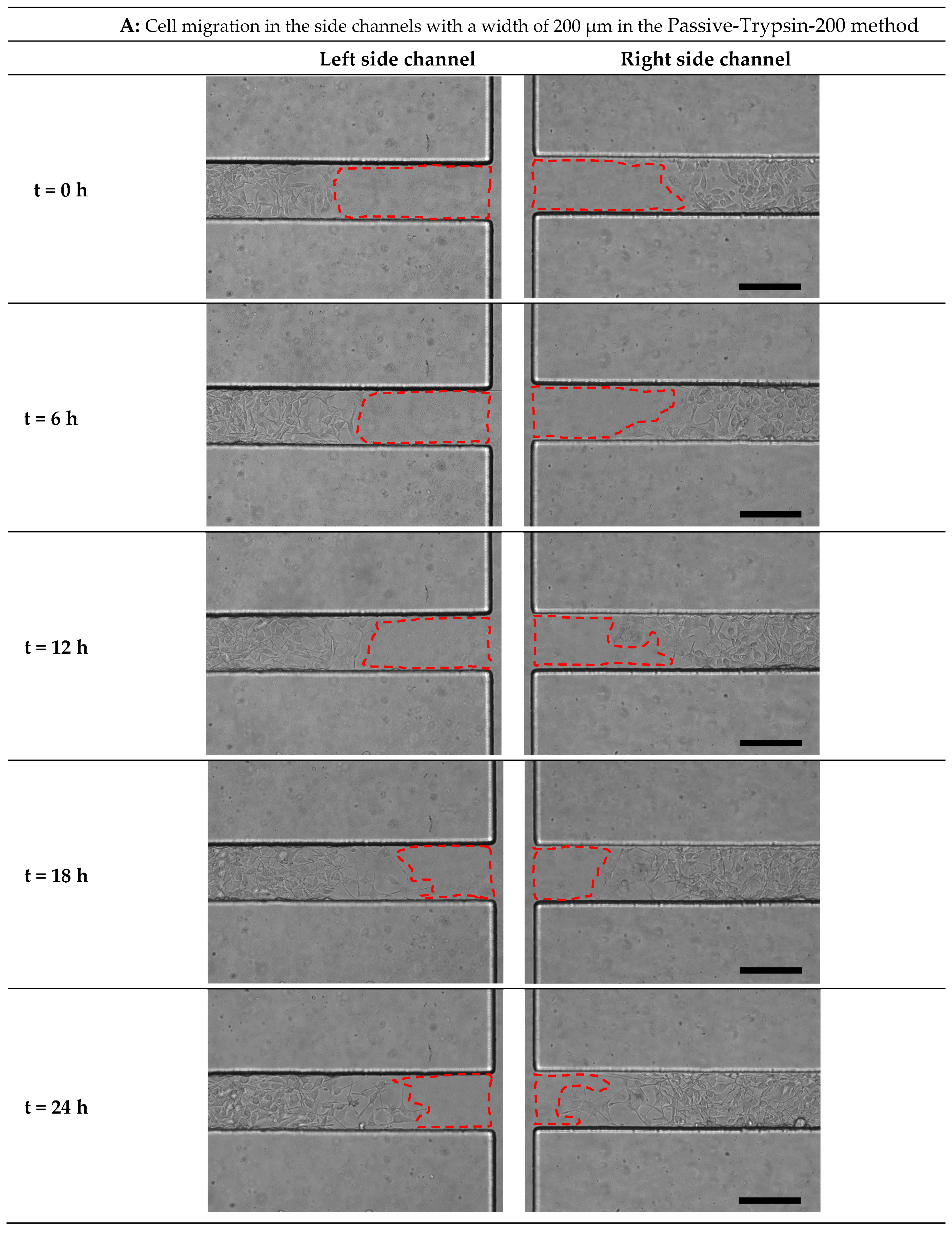 Micromachines 15 01004 g007a