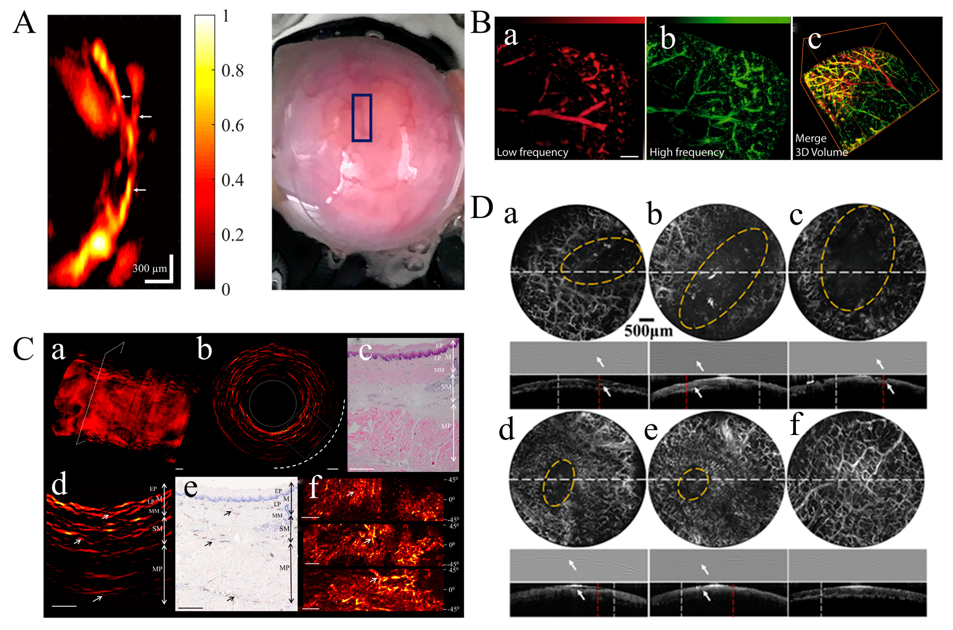 Micromachines 15 01007 g008