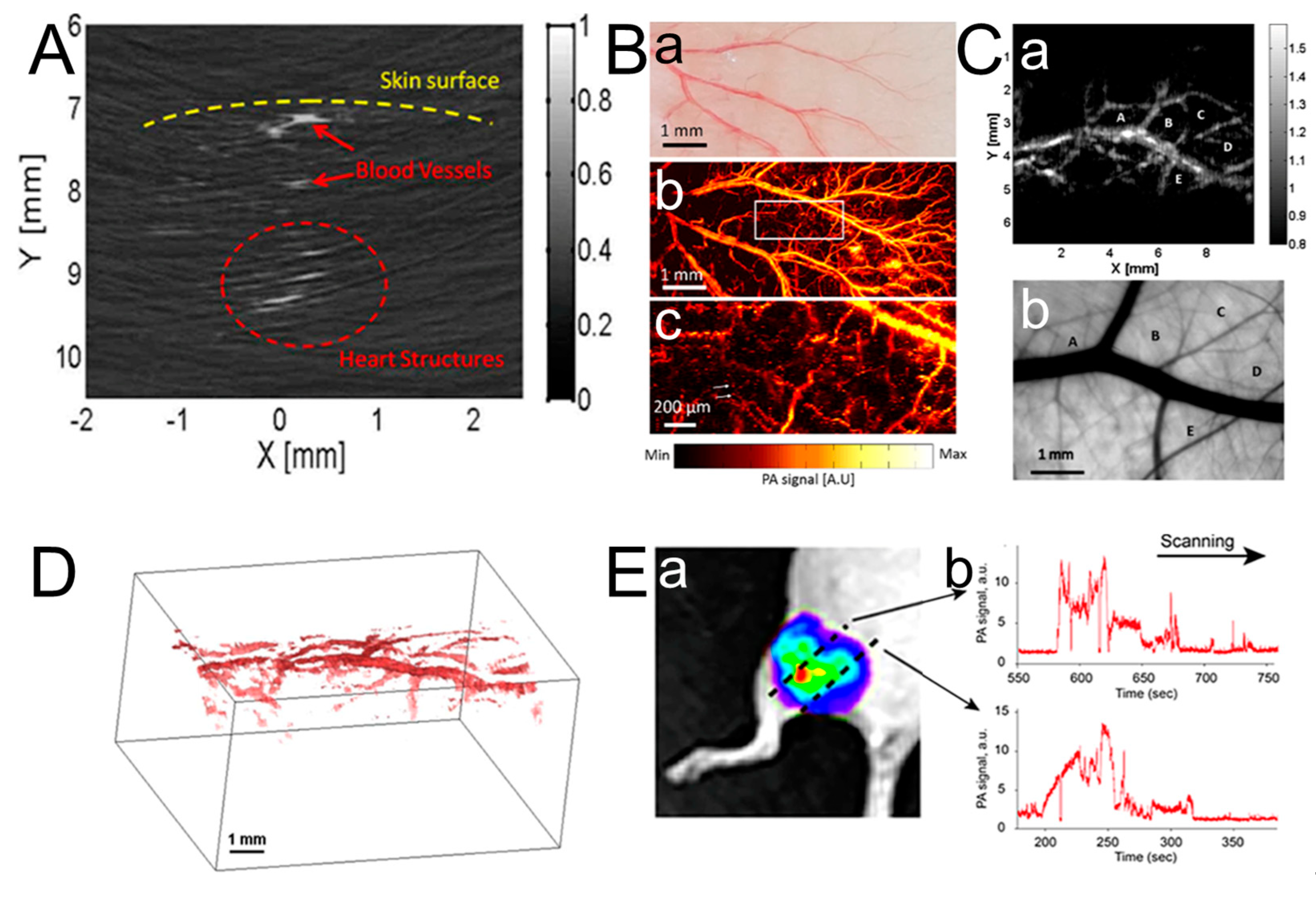Micromachines 15 01007 g010