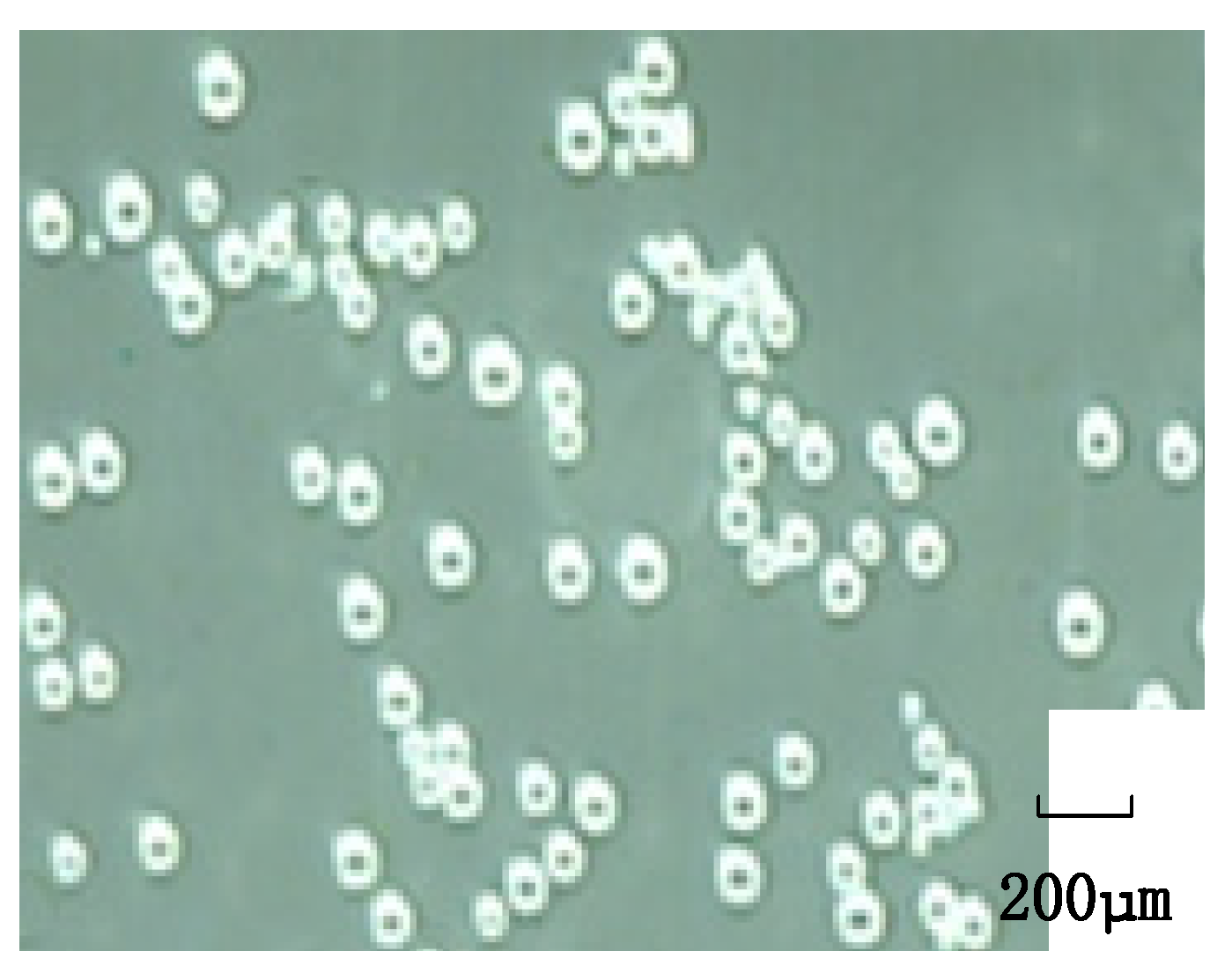 Micromachines 15 01025 g019