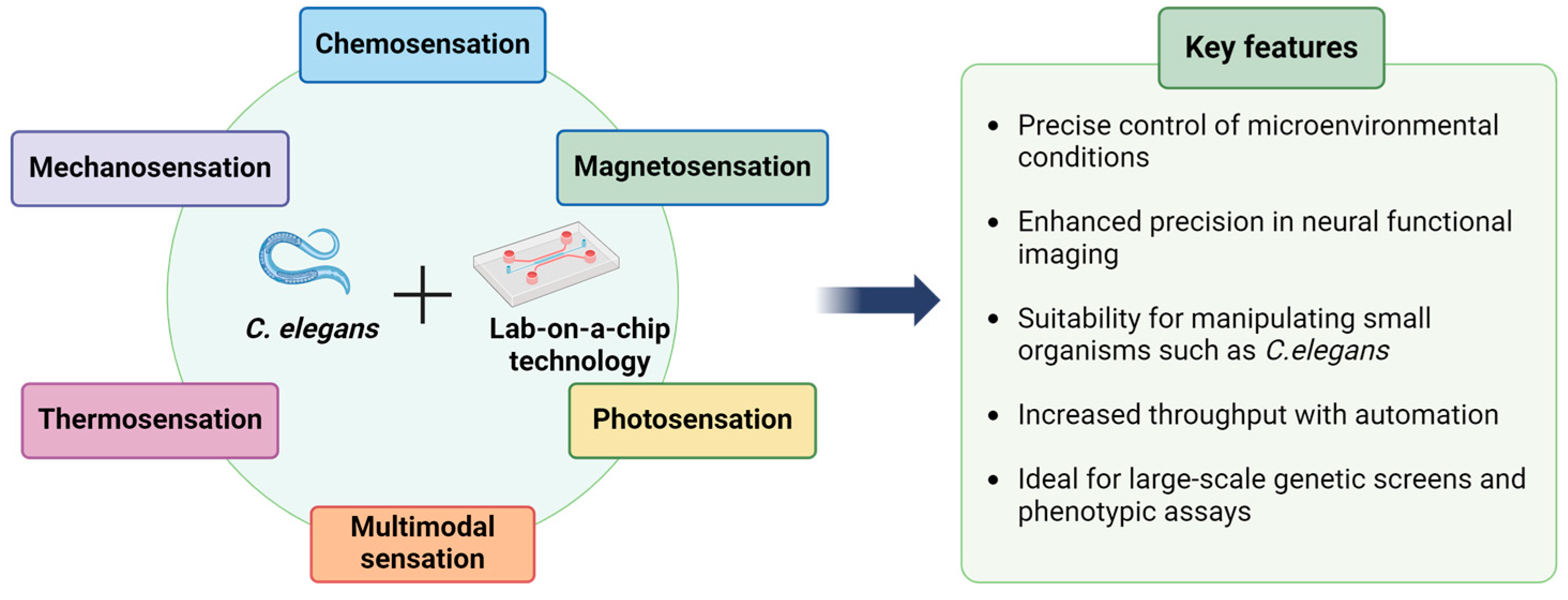 Micromachines 15 01027 g001