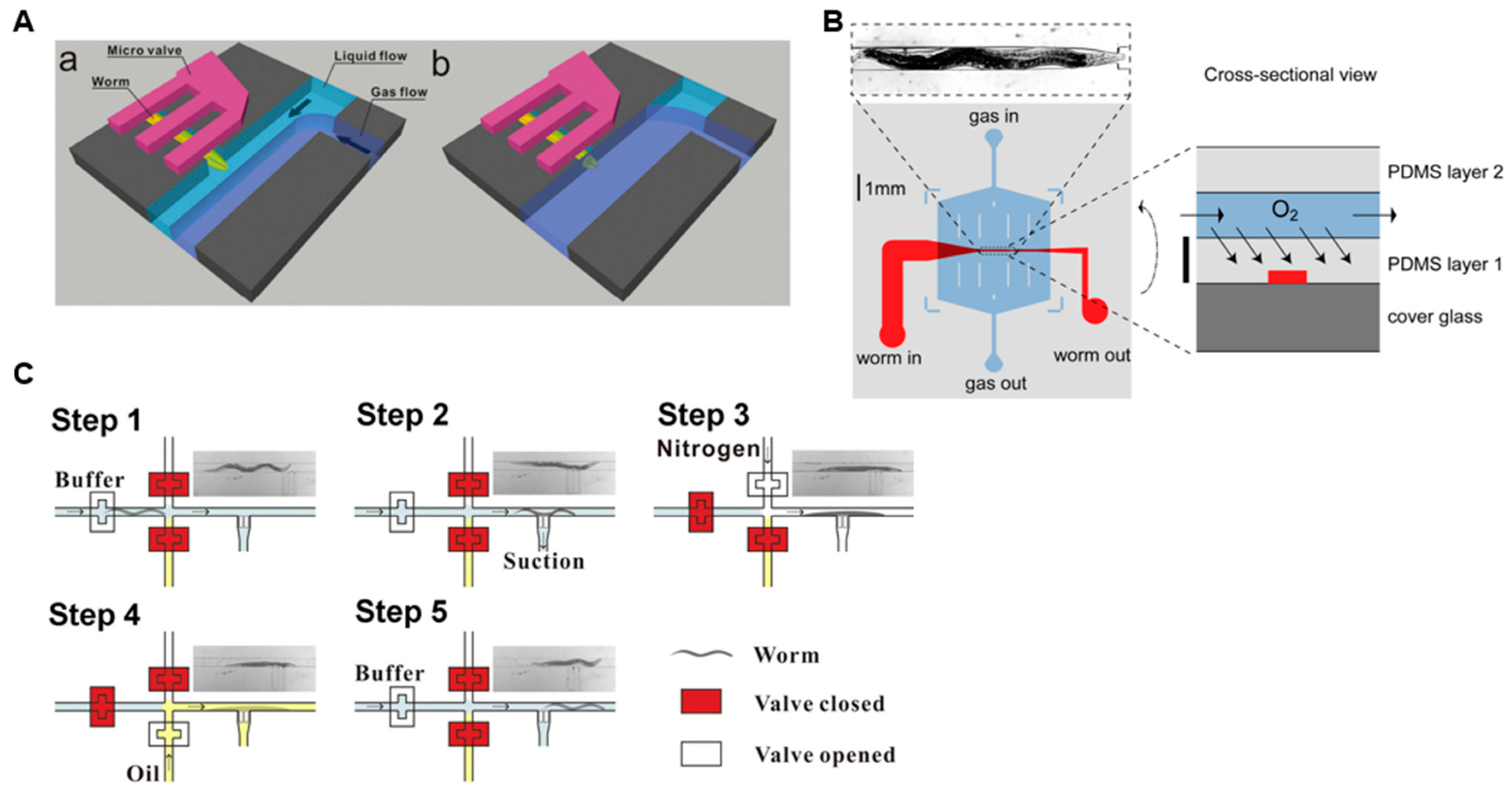 Micromachines 15 01027 g003