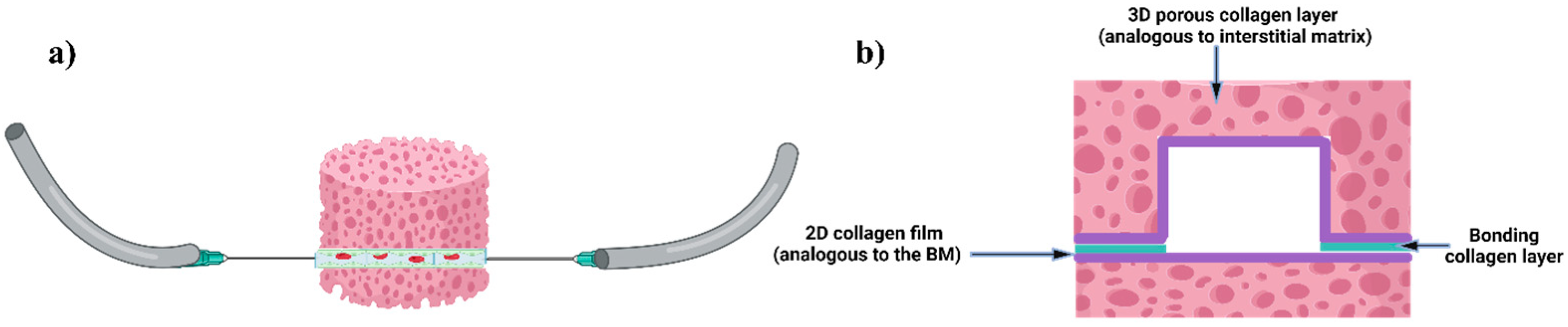 Micromachines 15 01031 g001