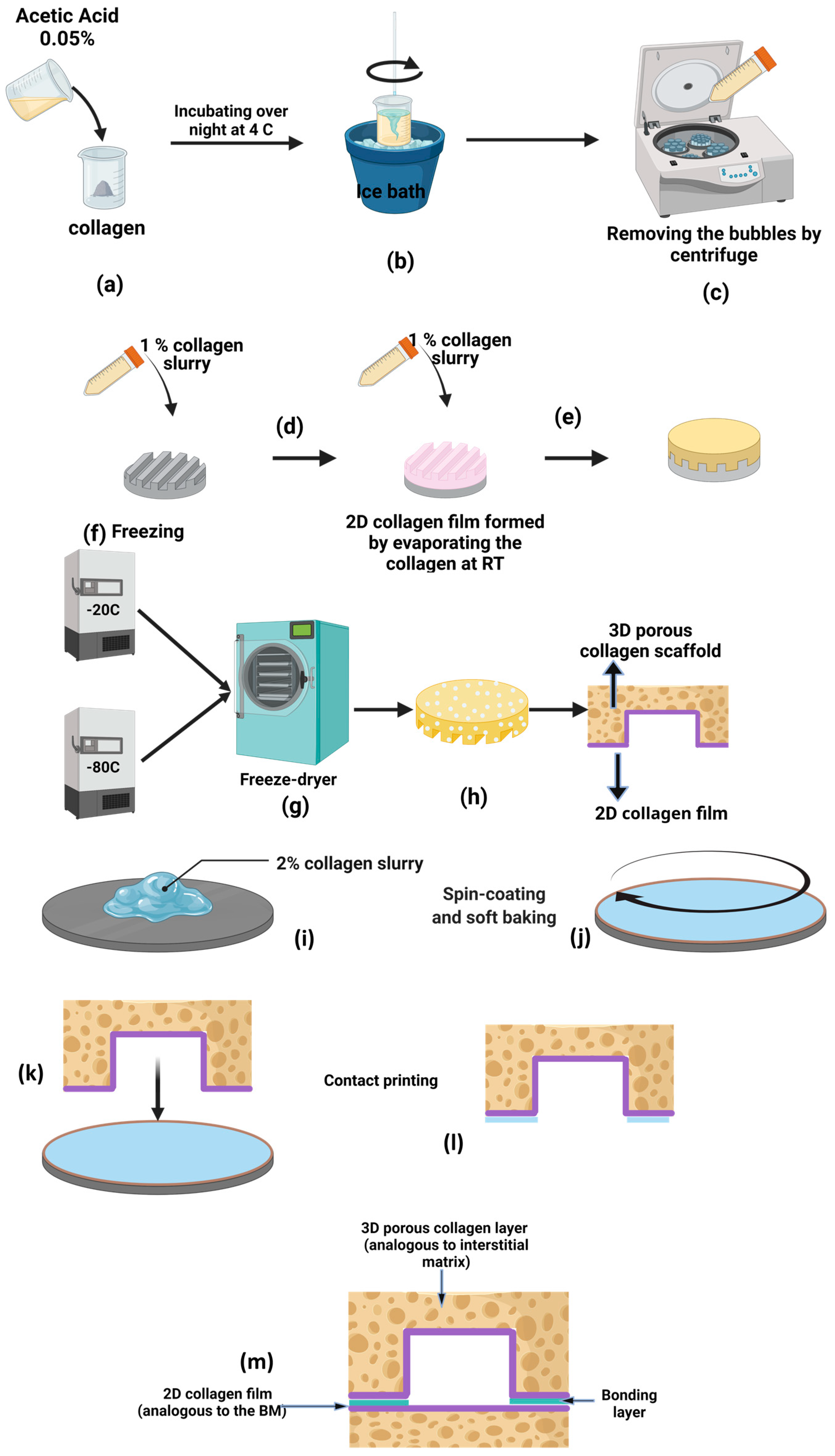 Micromachines 15 01031 g002