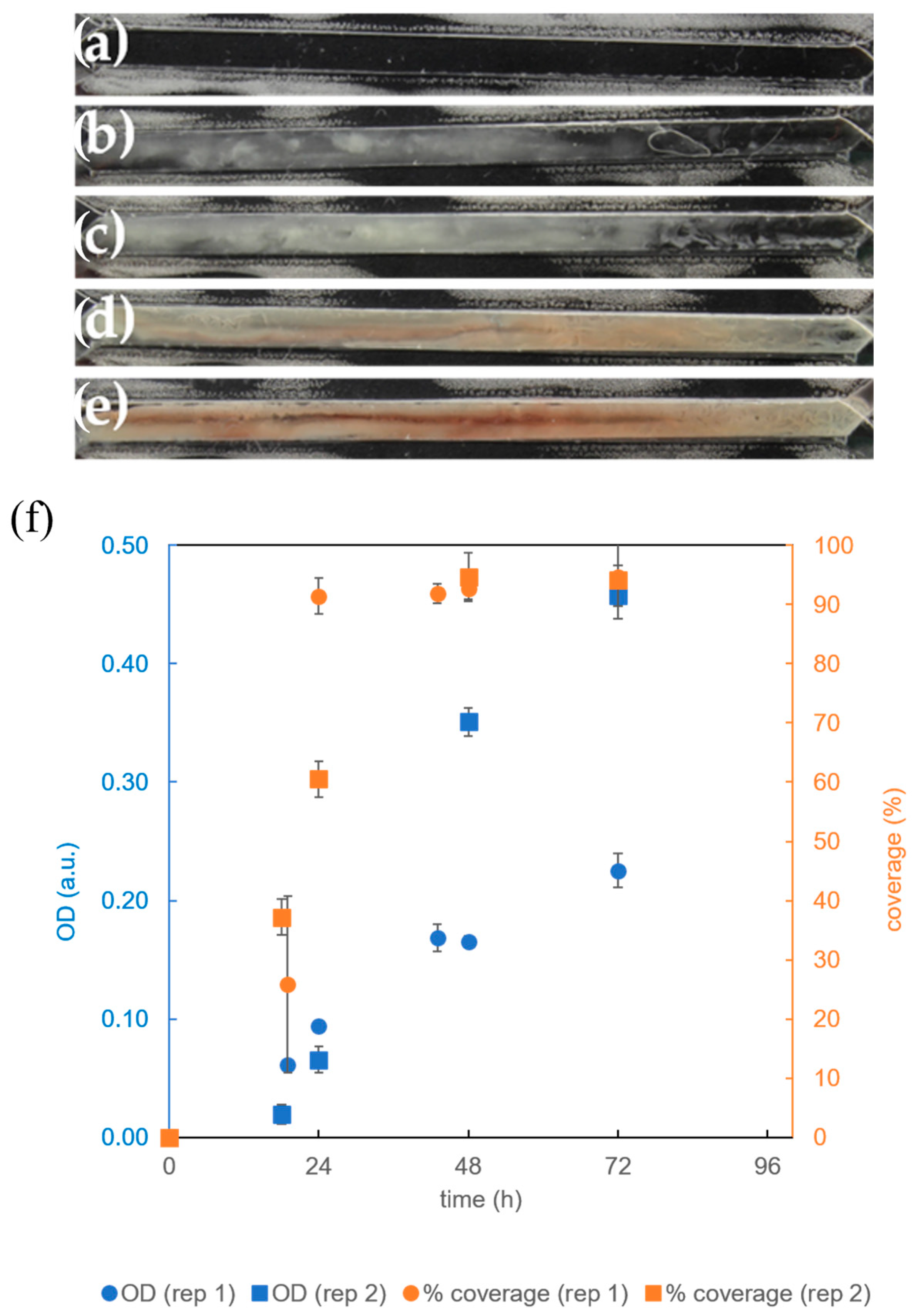 Micromachines 15 01037 g004
