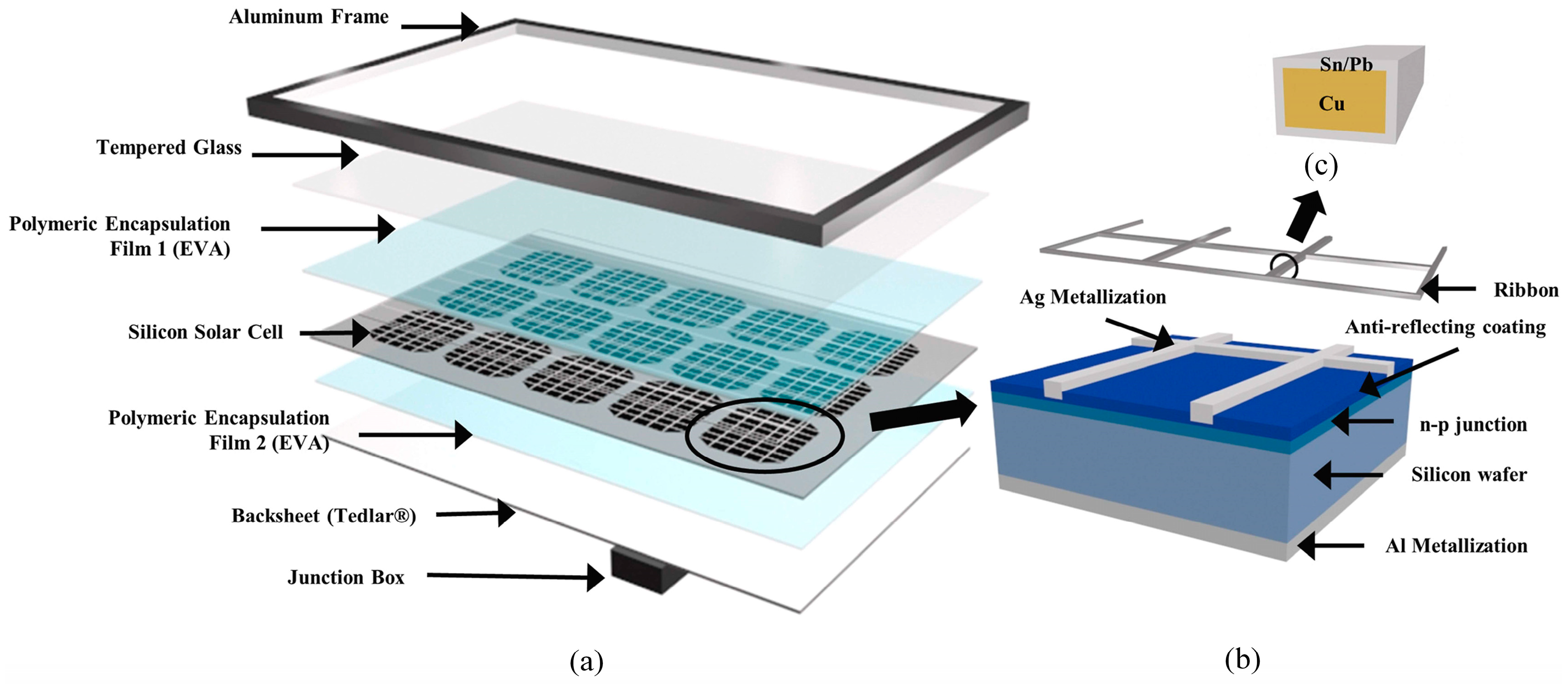 Micromachines 15 01041 g001 Micromachines 15 01041 g001