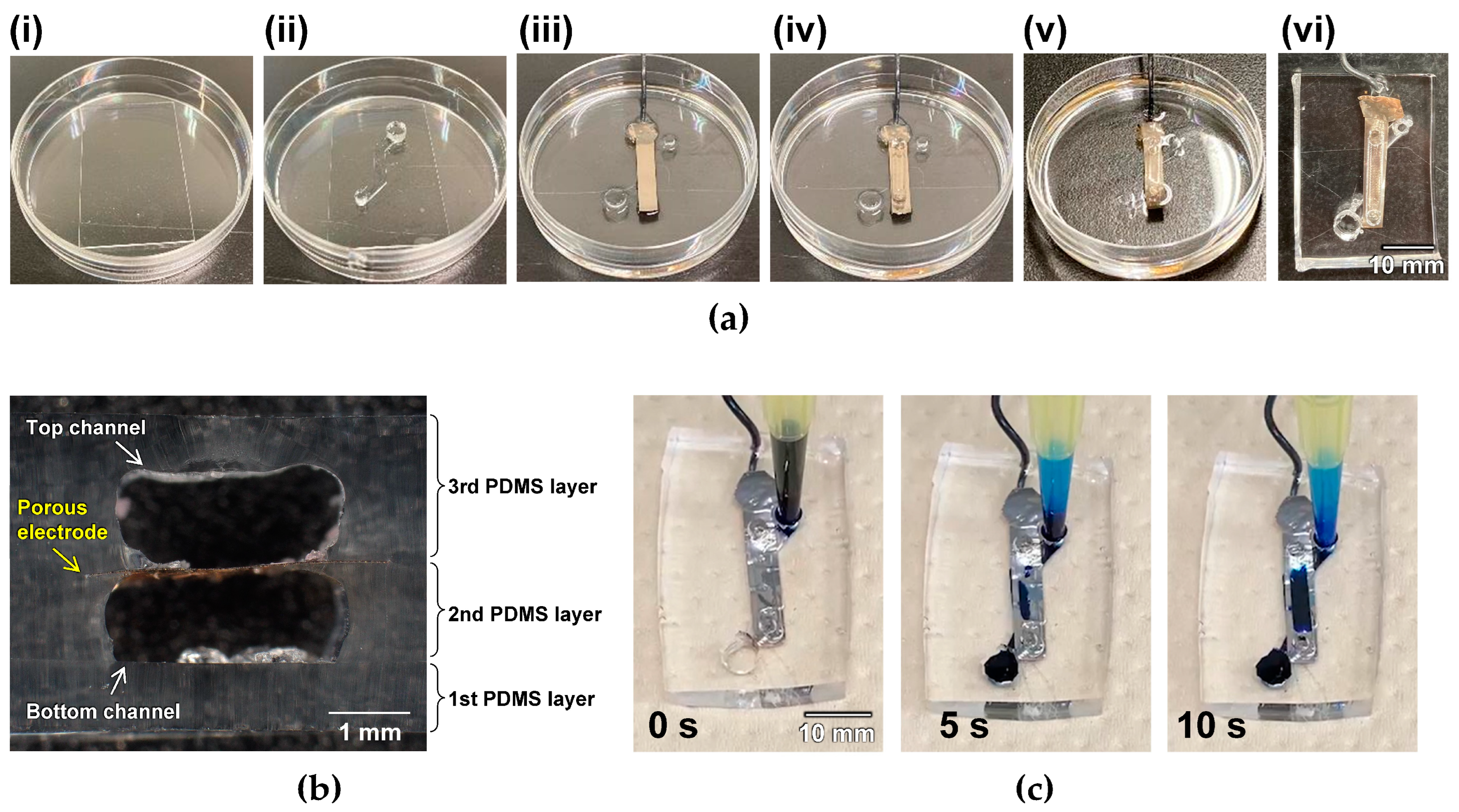 Micromachines 15 01054 g003