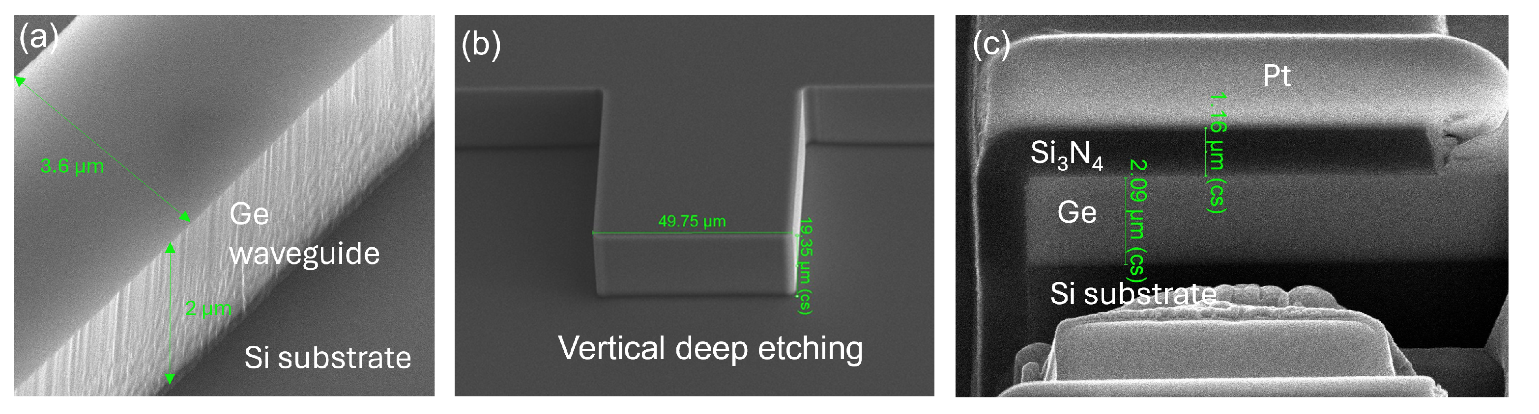Micromachines 15 01055 g004