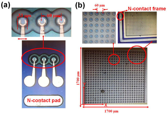 taylor Key Technologies in Developing Chip-Scale Hot Atomic Devices
