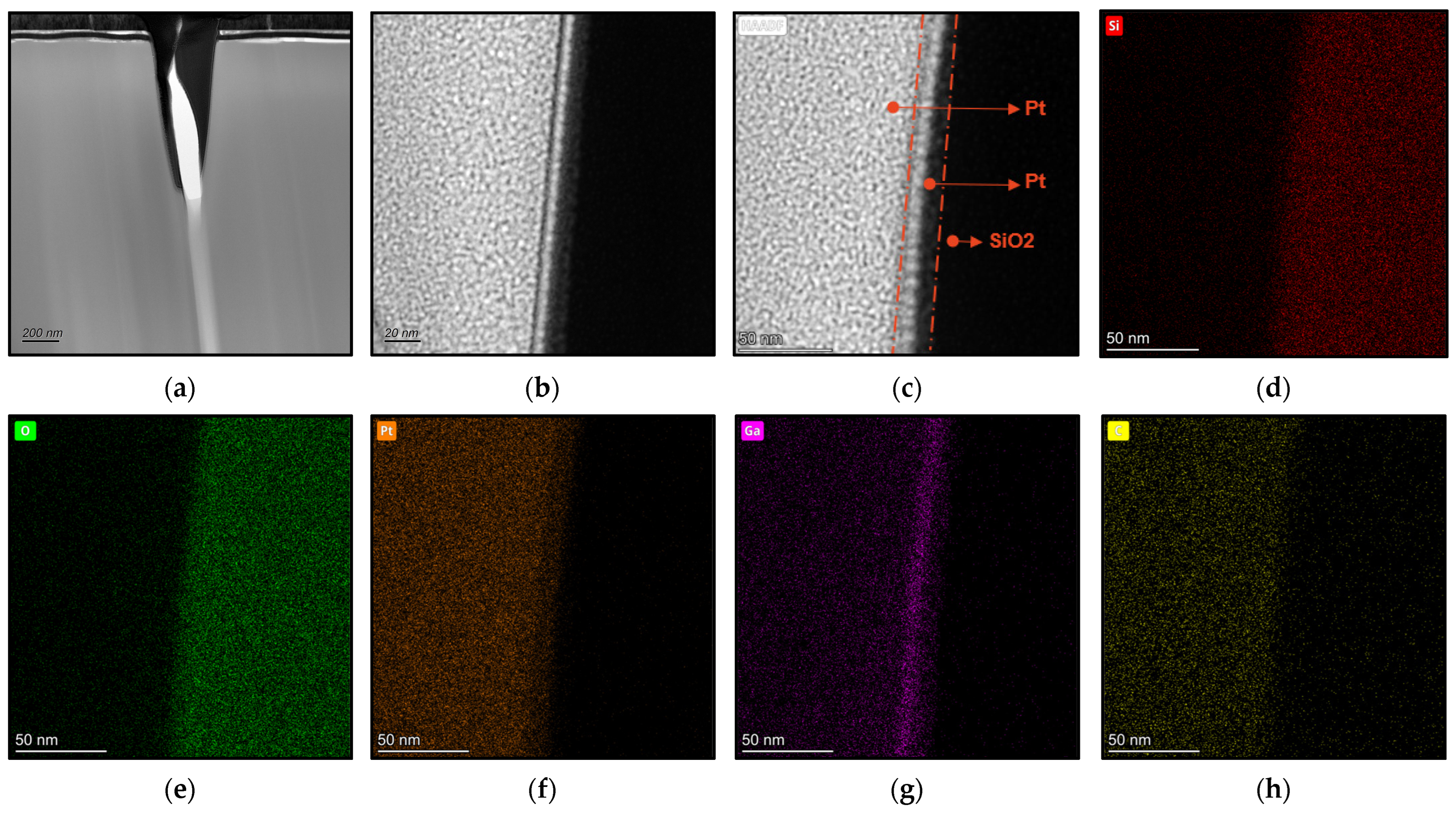 Micromachines 15 01105 g008