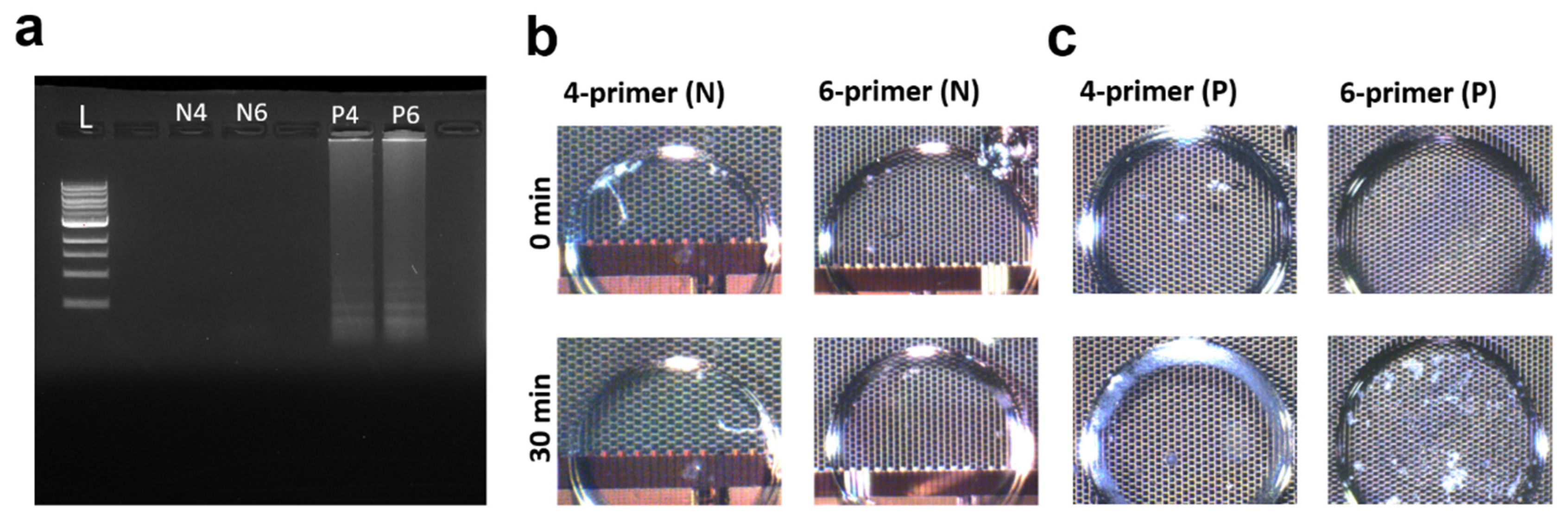 Micromachines 15 01112 g002