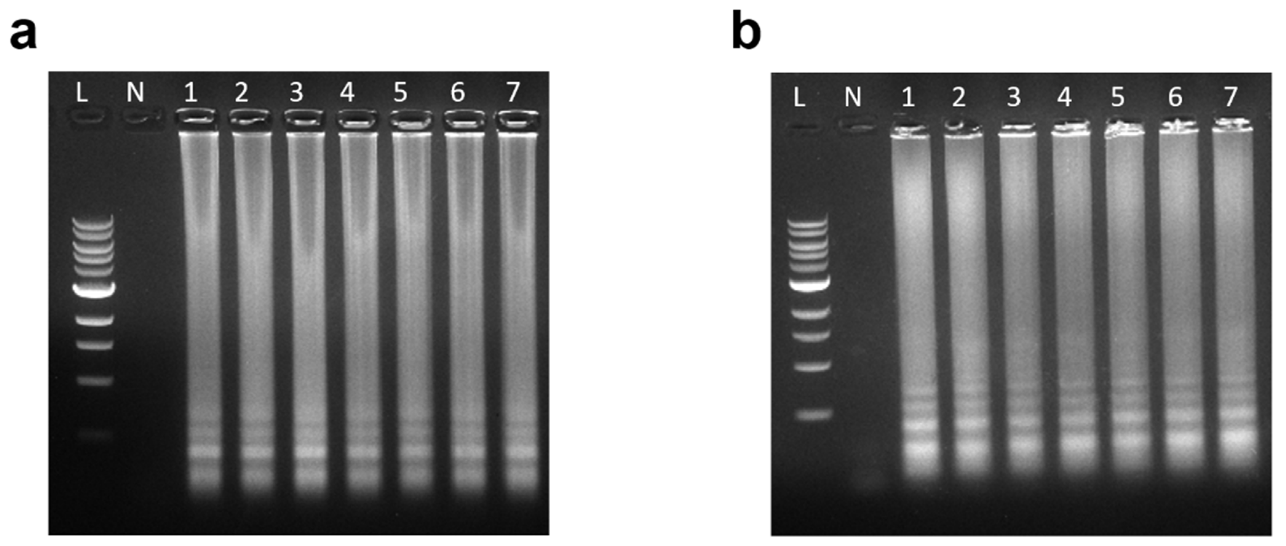 Micromachines 15 01112 g003