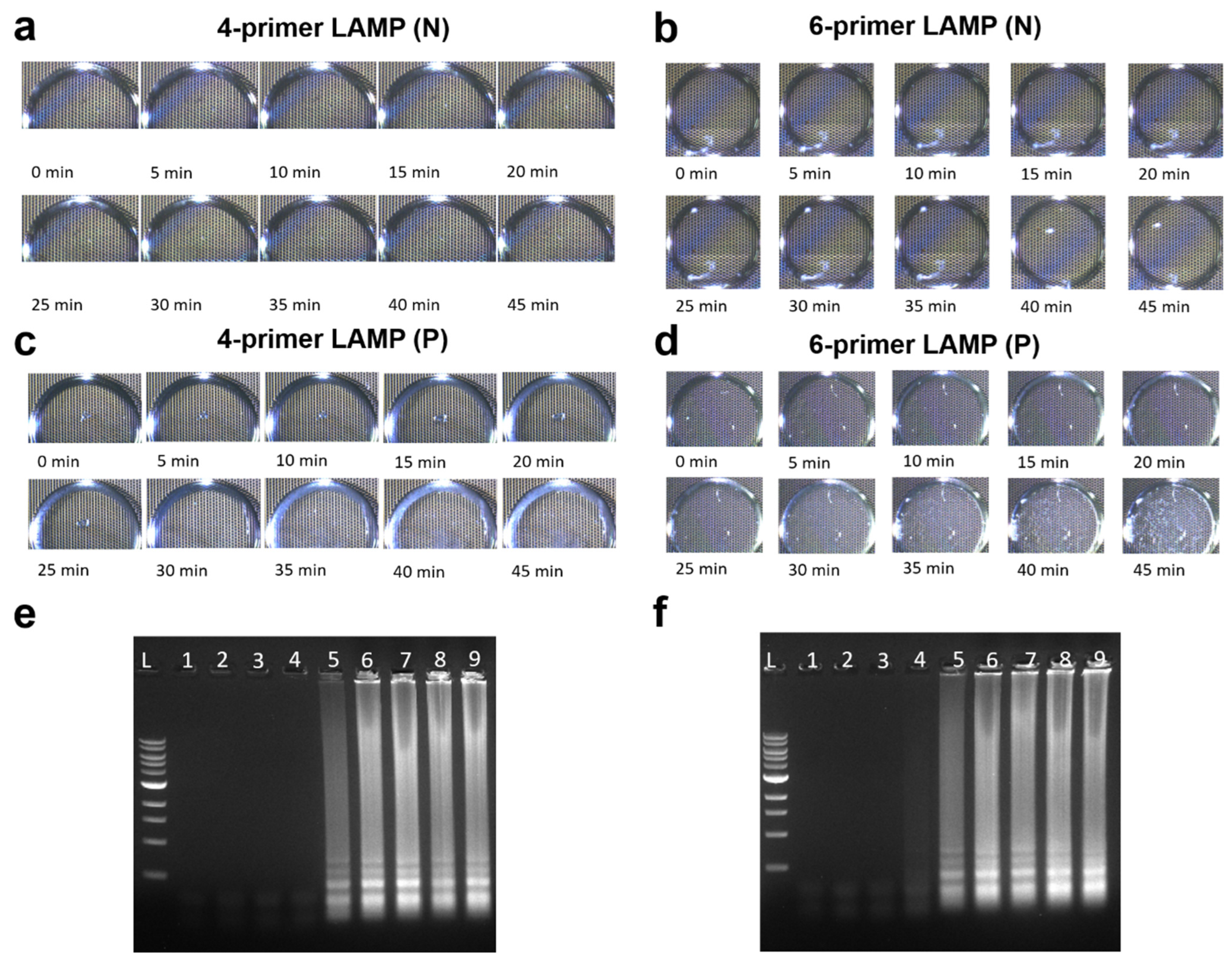 Micromachines 15 01112 g004
