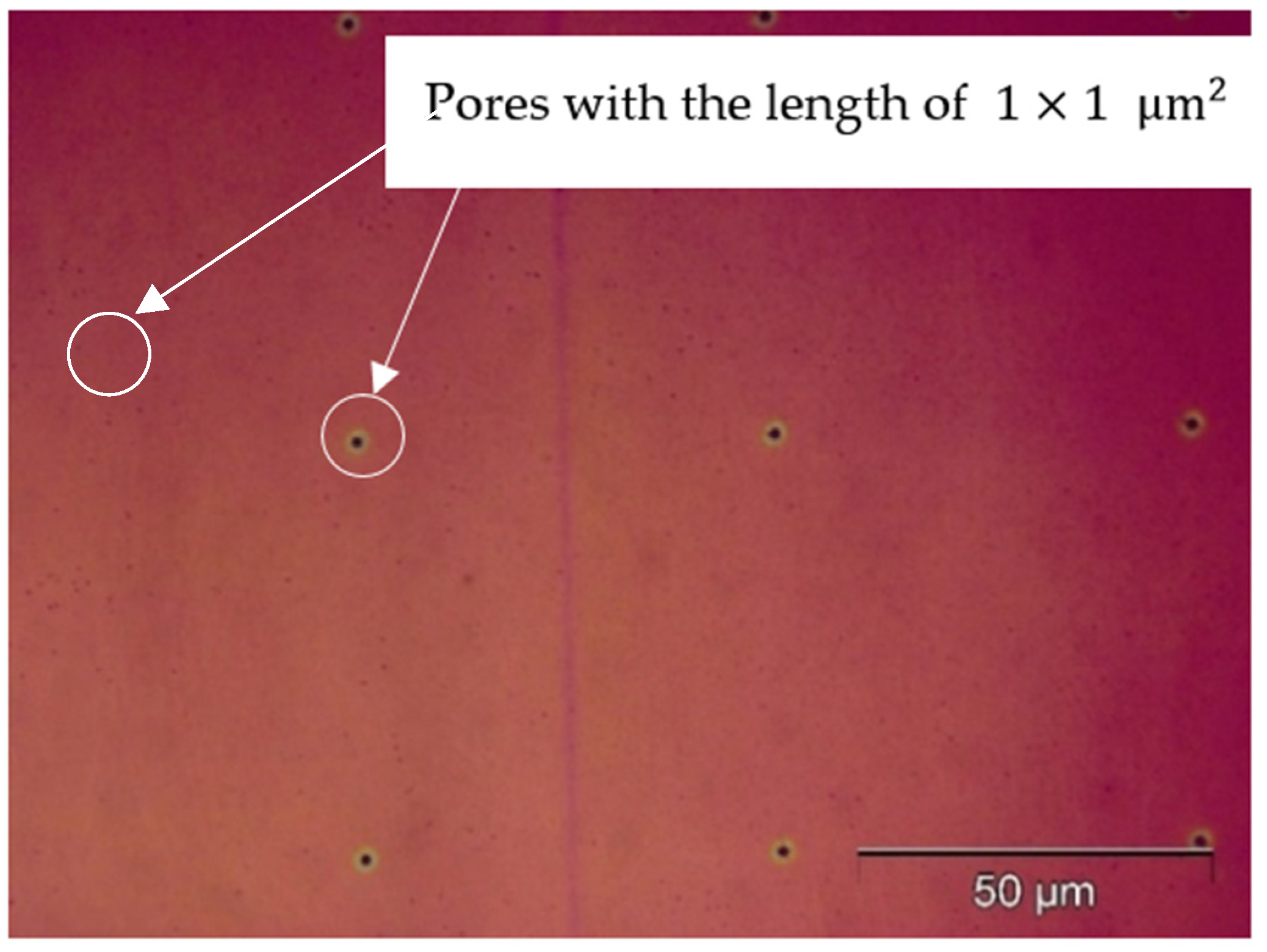 Micromachines 15 01118 g005 Micromachines 15 01118 g005