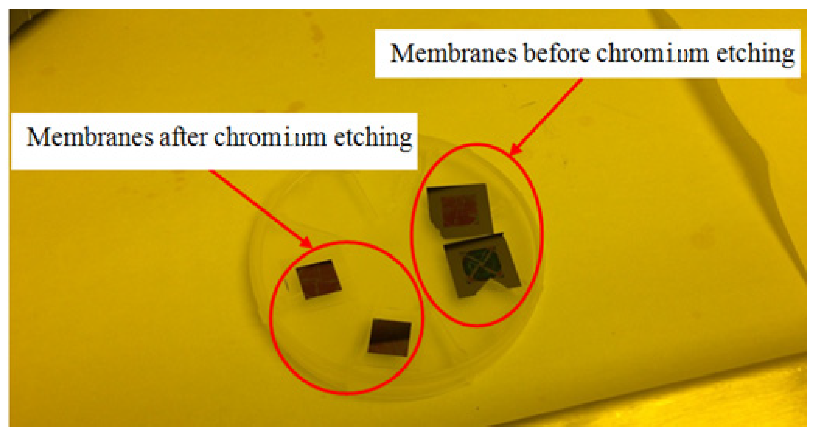 Micromachines 15 01118 g006 Micromachines 15 01118 g006