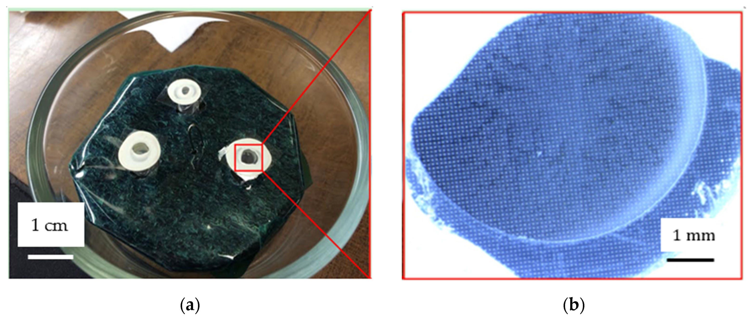 Micromachines 15 01118 g010 Micromachines 15 01118 g010