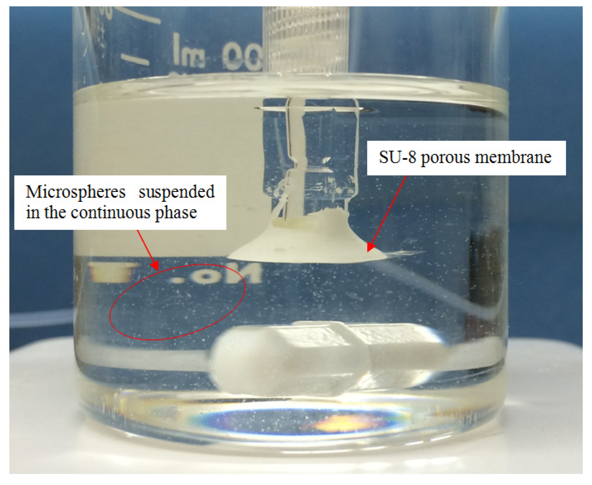 Micromachines 15 01118 g013 Micromachines 15 01118 g013