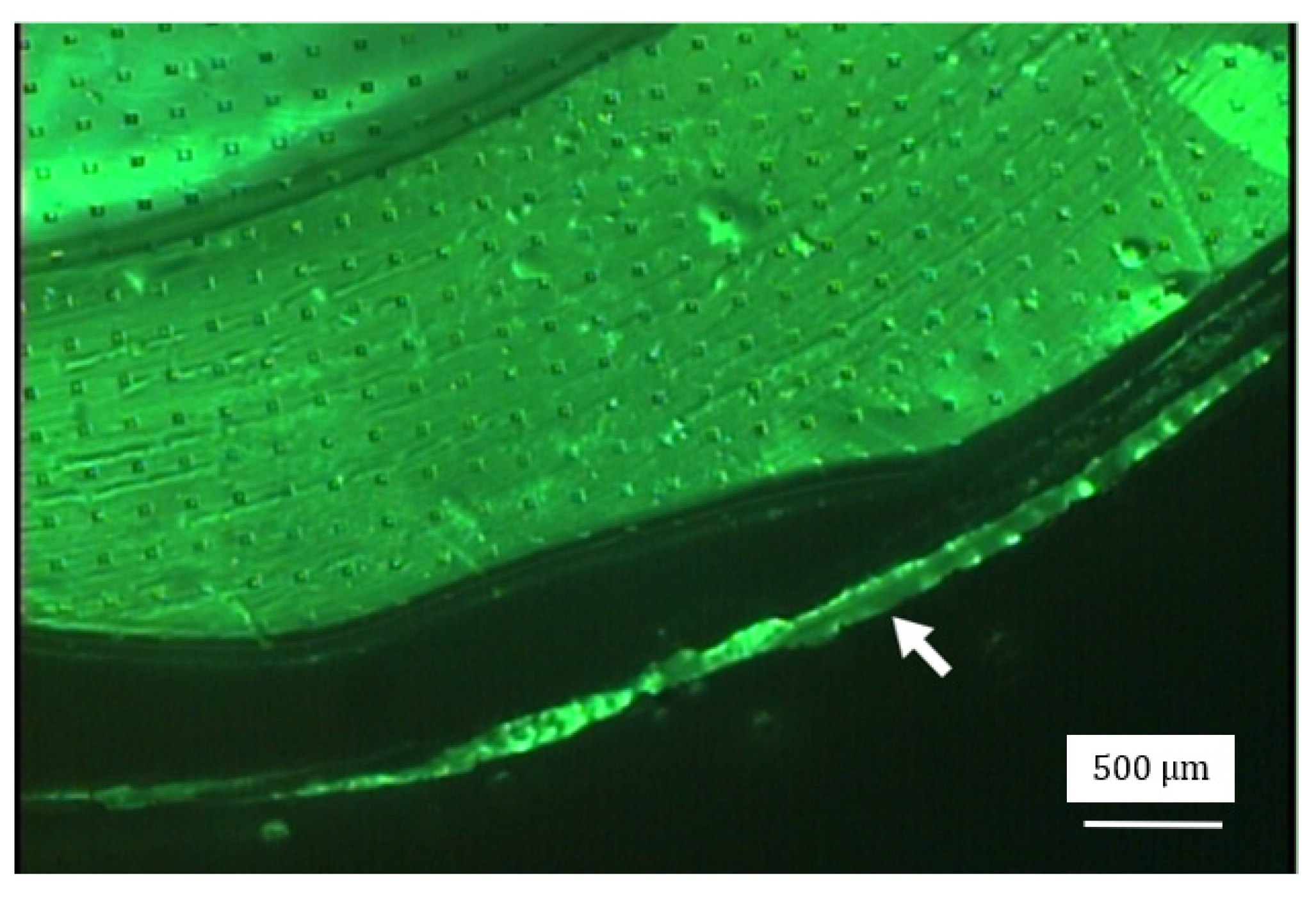 Micromachines 15 01118 g016 Micromachines 15 01118 g016