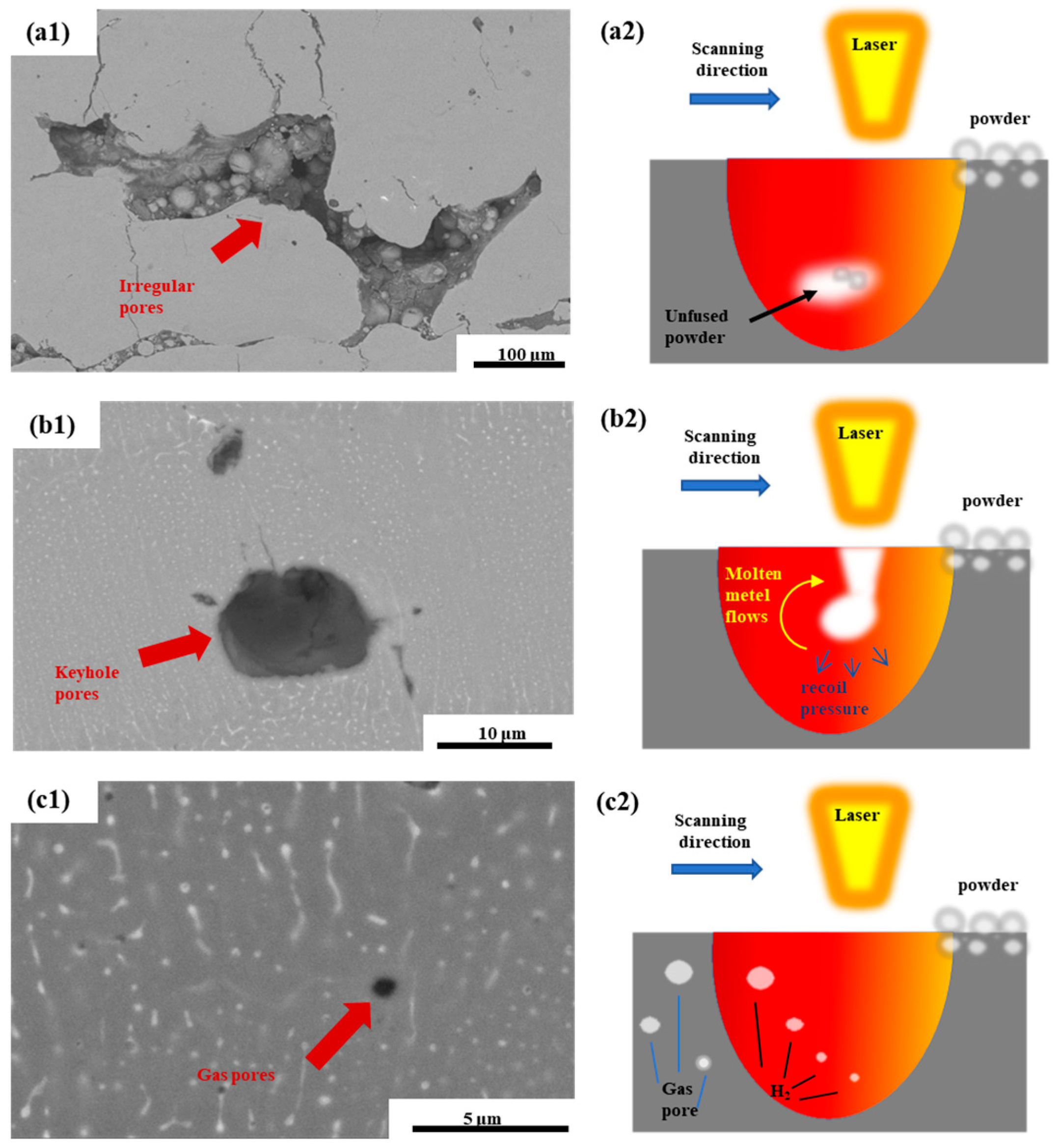 Micromachines 15 01121 g007