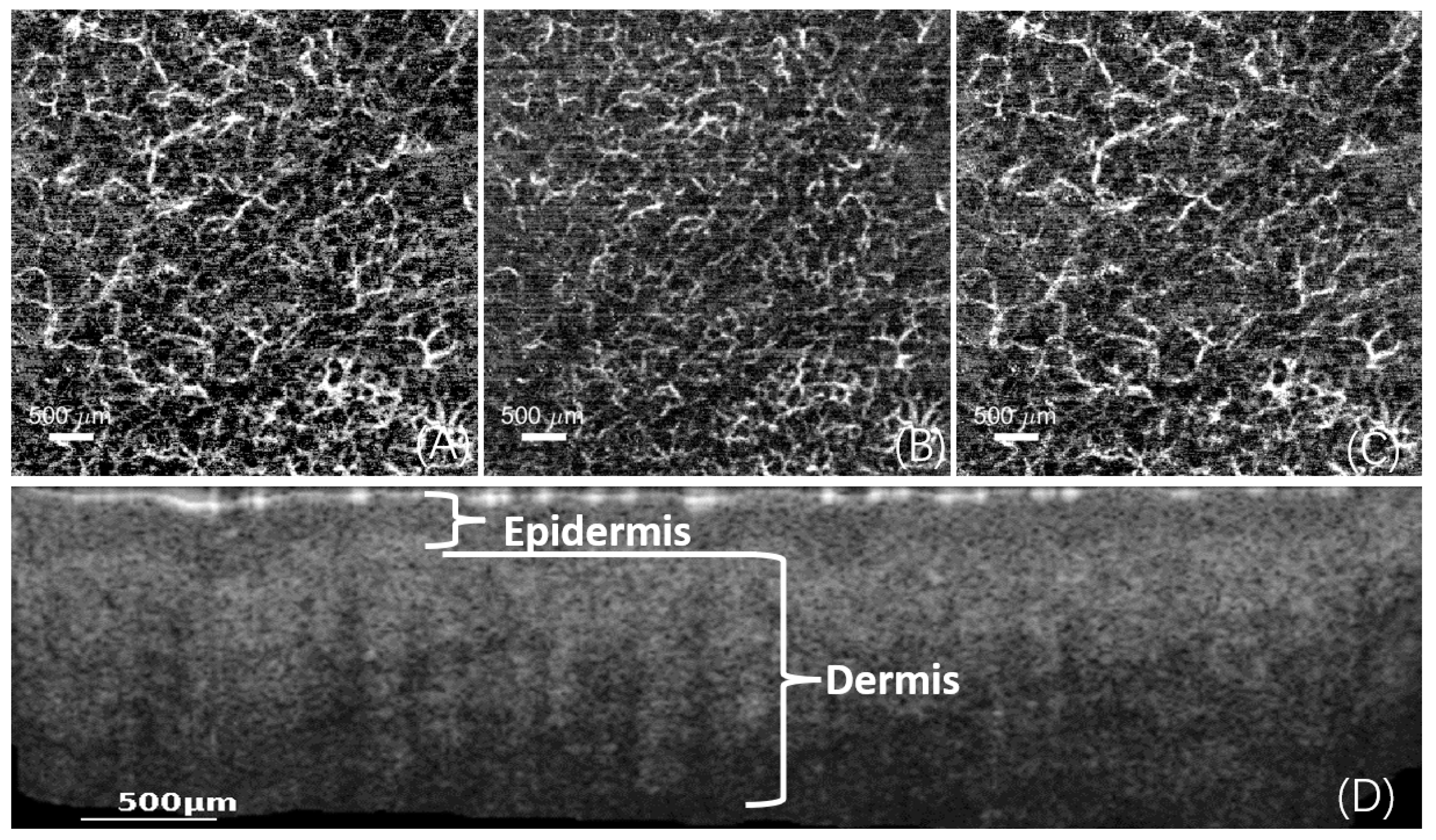 Micromachines 15 01128 g003