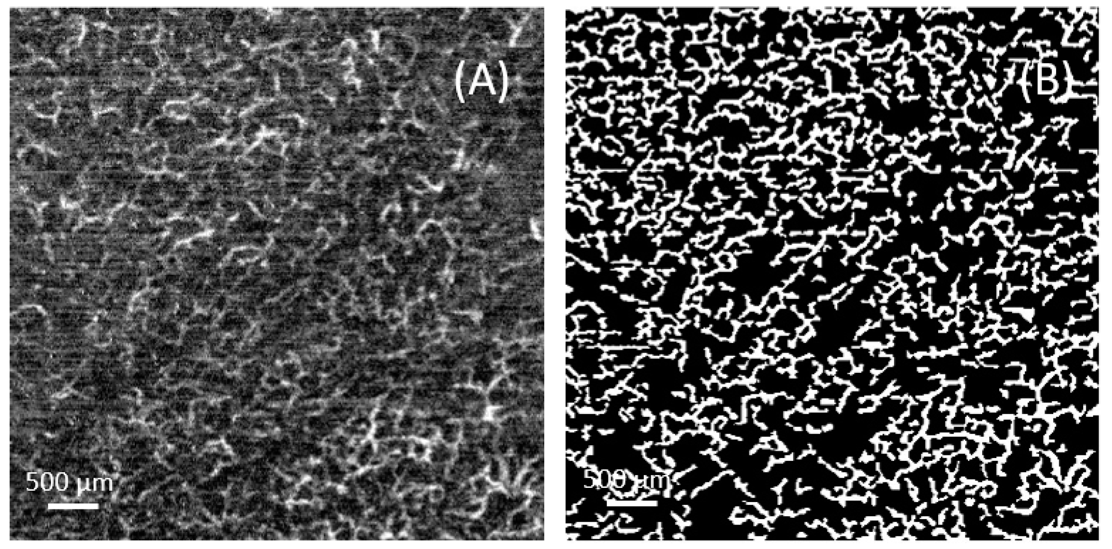 Micromachines 15 01128 g004