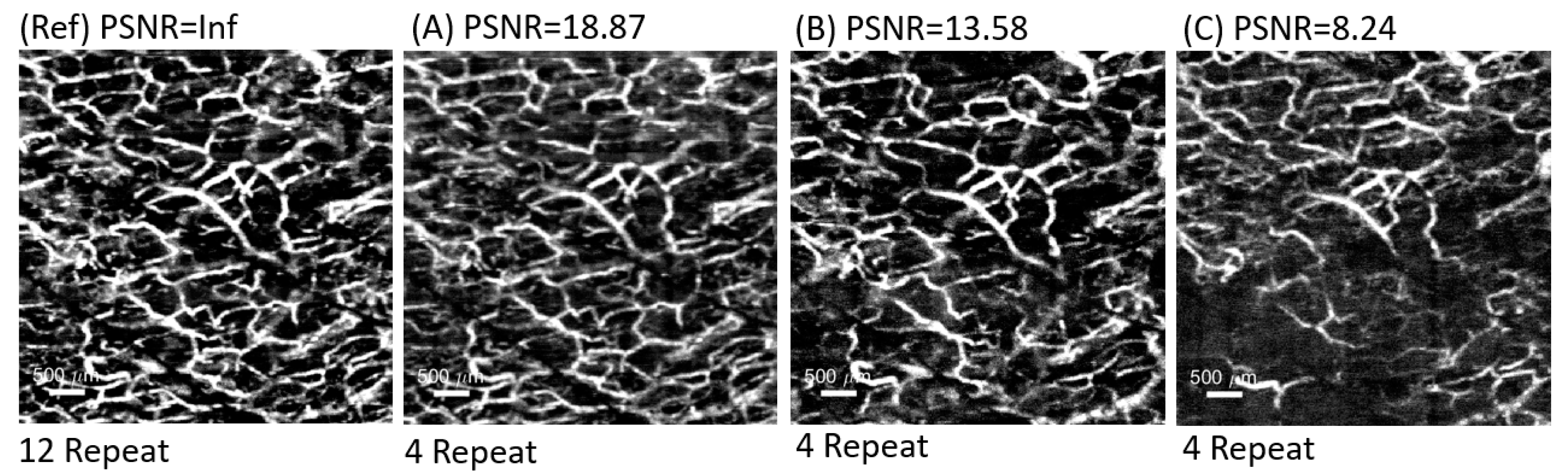 Micromachines 15 01128 g005