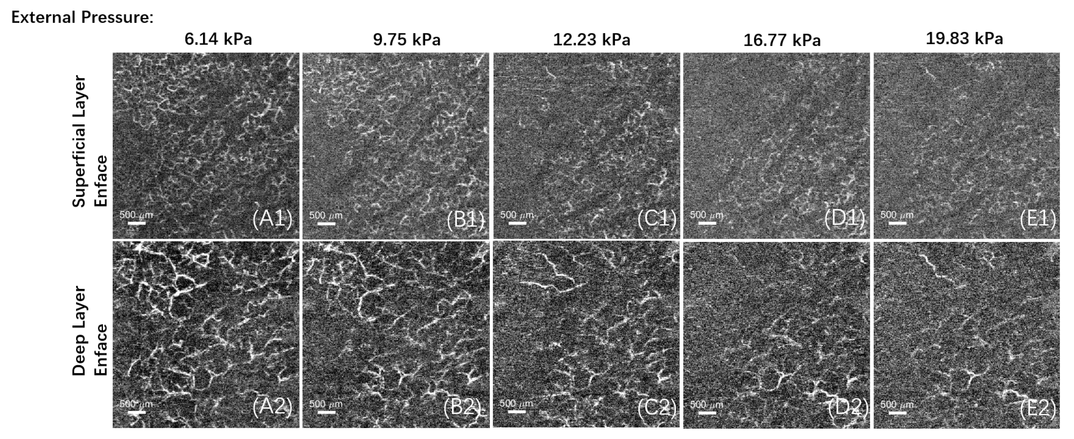 Micromachines 15 01128 g006
