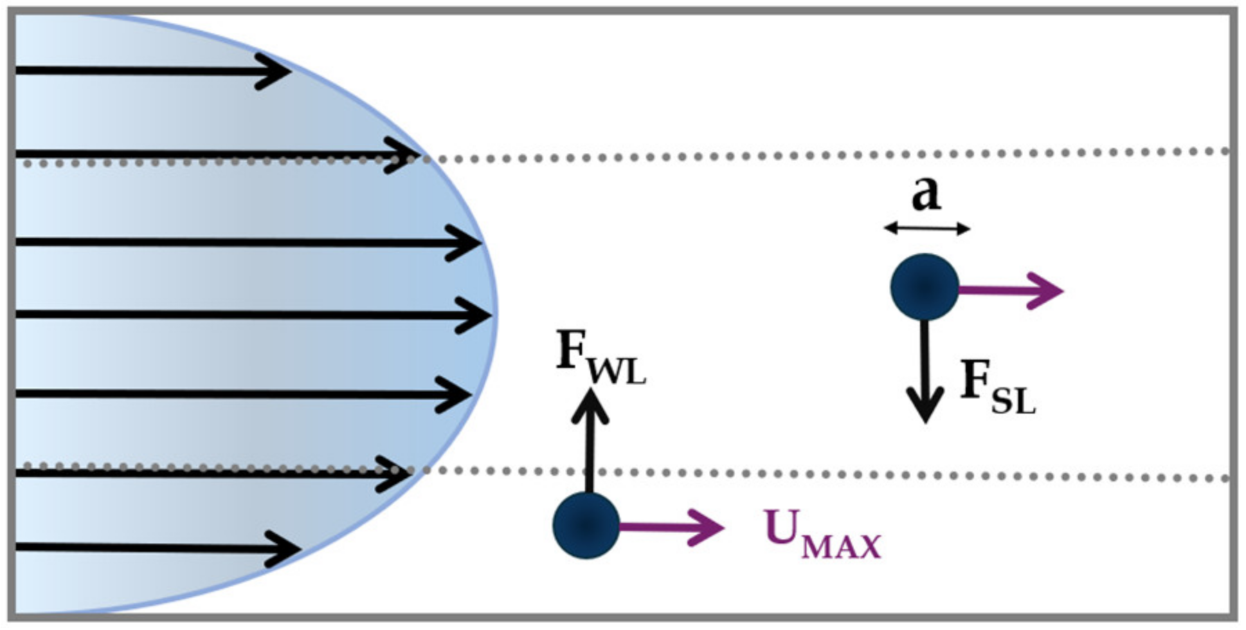 Micromachines 15 01135 g002