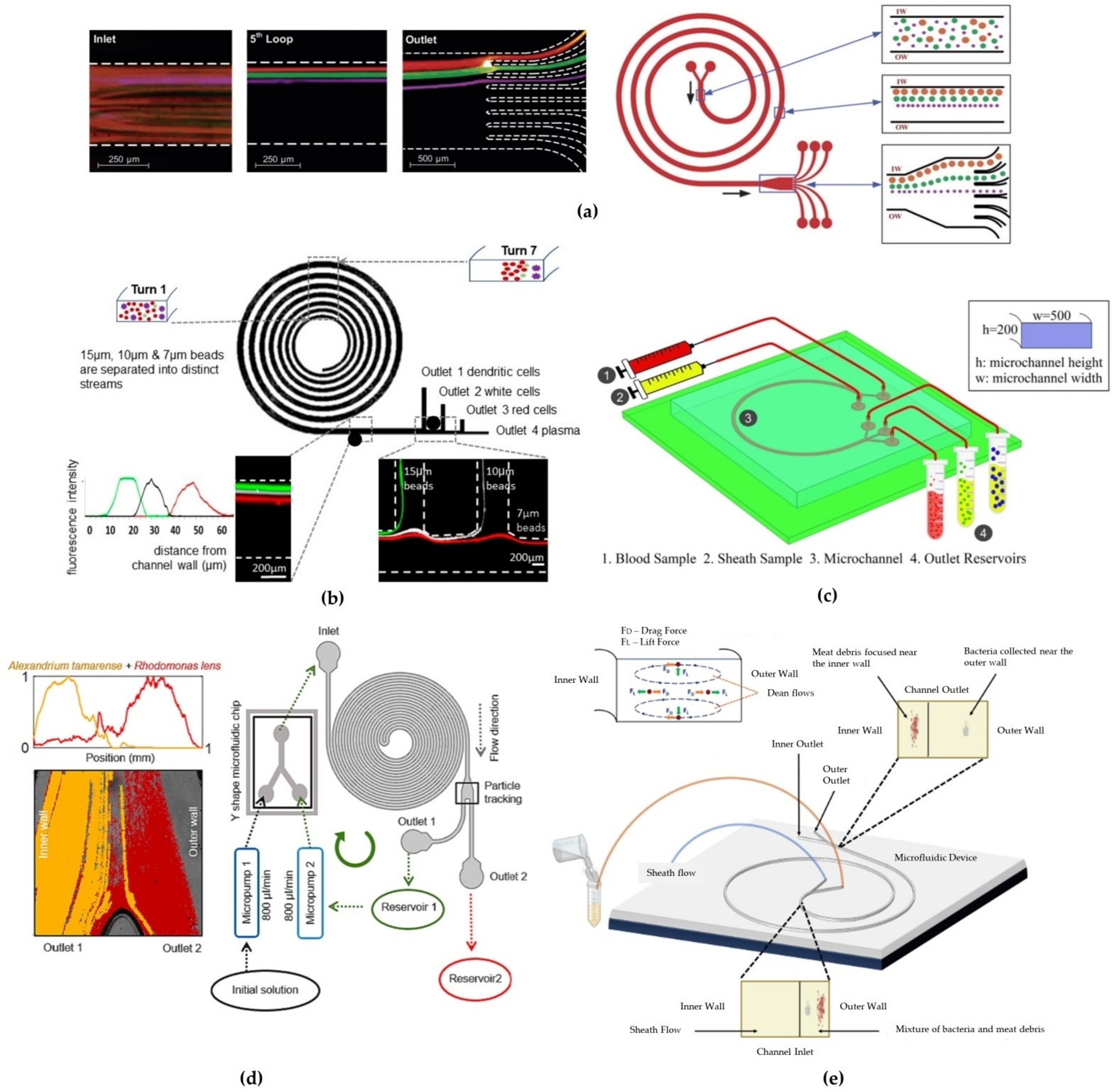 Micromachines 15 01135 g006
