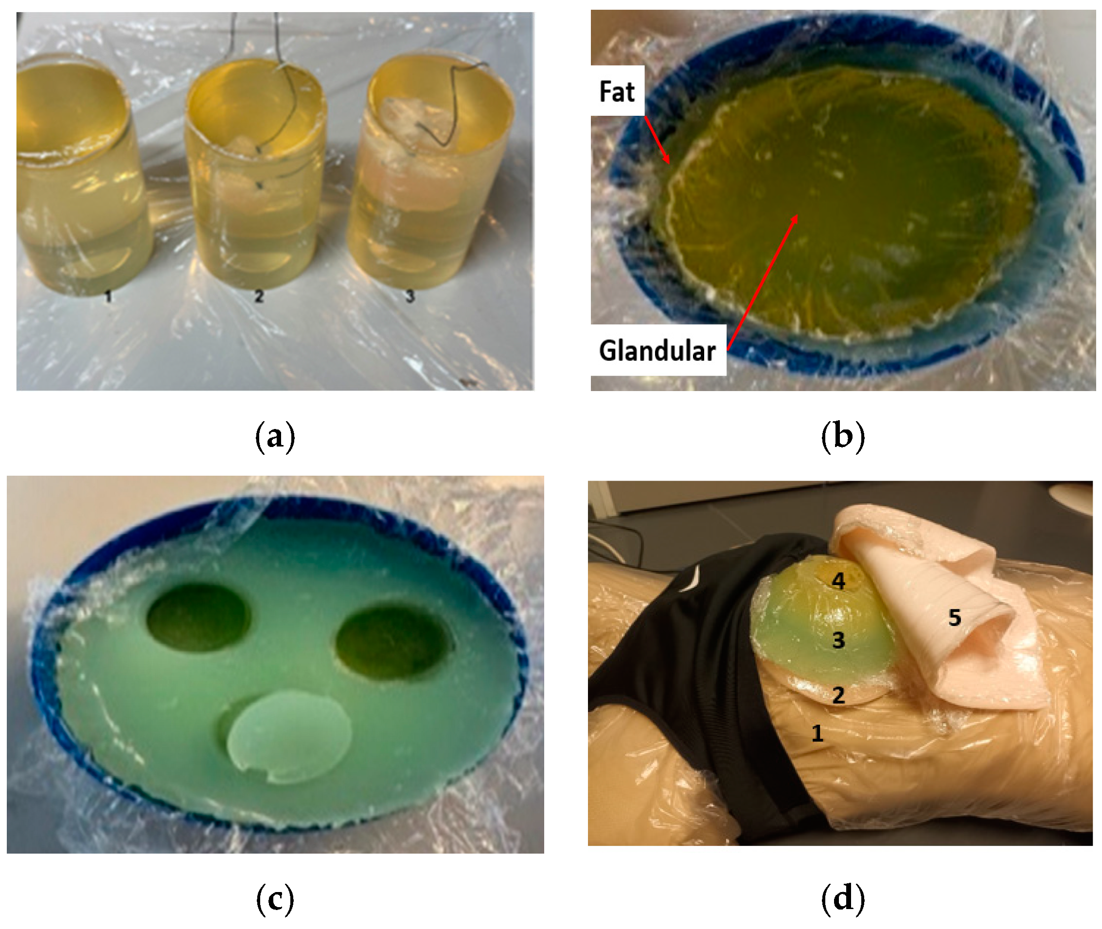 Micromachines 15 01153 g001