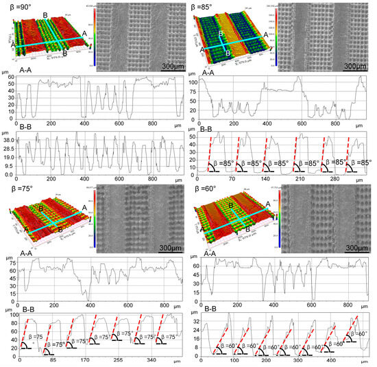 Laser Direct Writing of Setaria Virids-Inspired Hierarchical