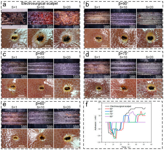 Laser Direct Writing of Setaria Virids-Inspired Hierarchical