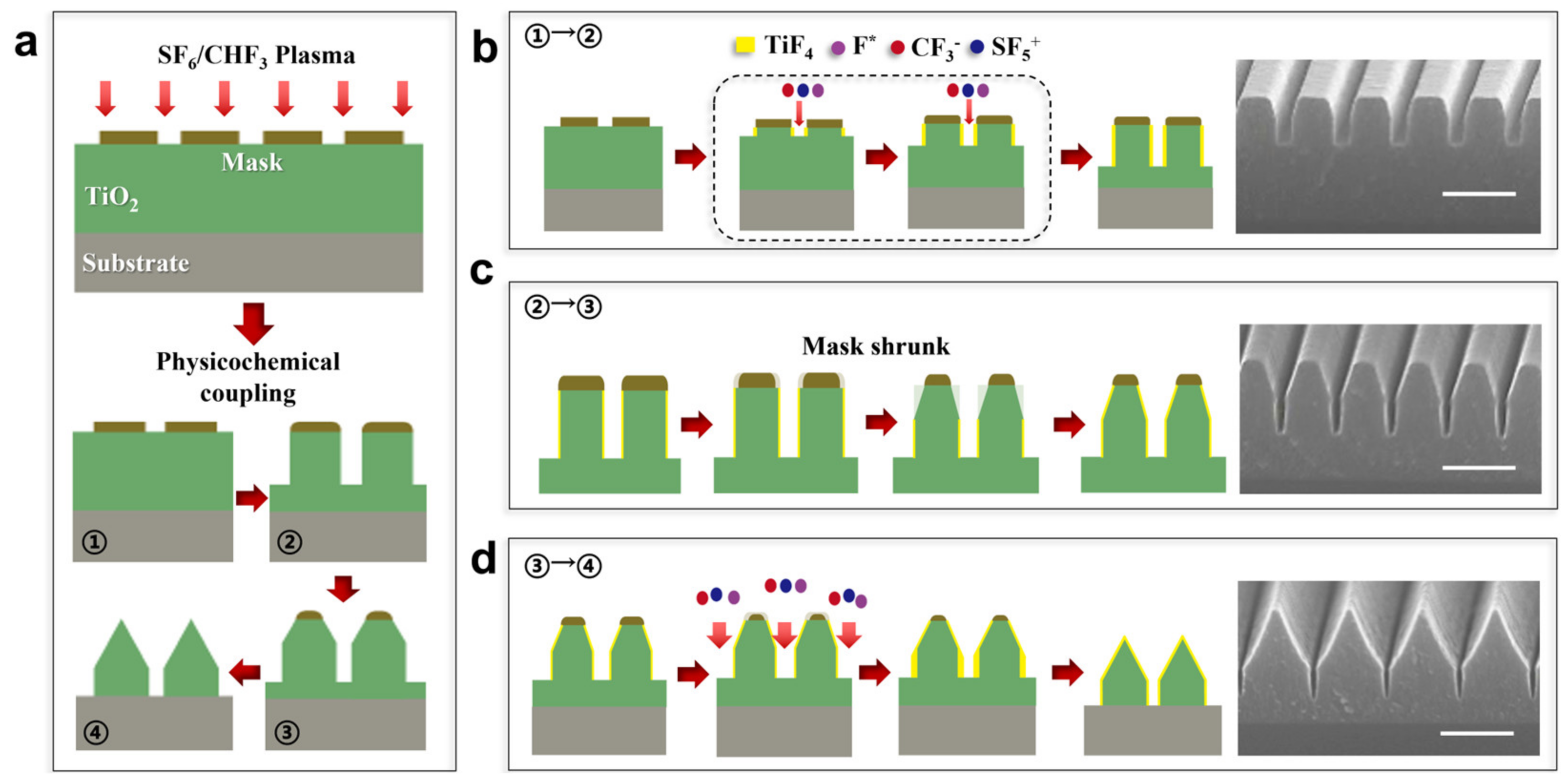 Micromachines 15 01160 g002