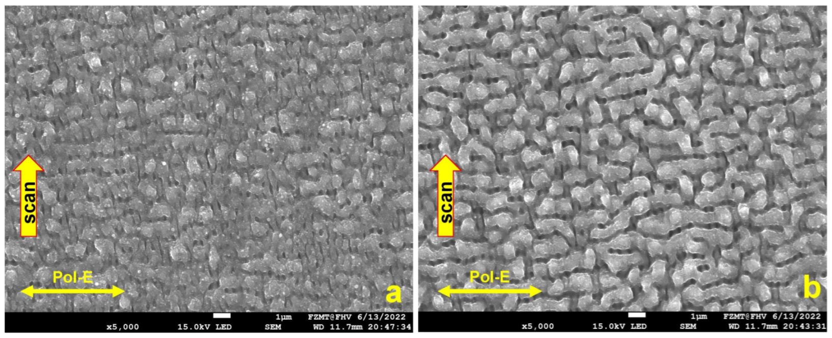Micromachines 15 01161 g002